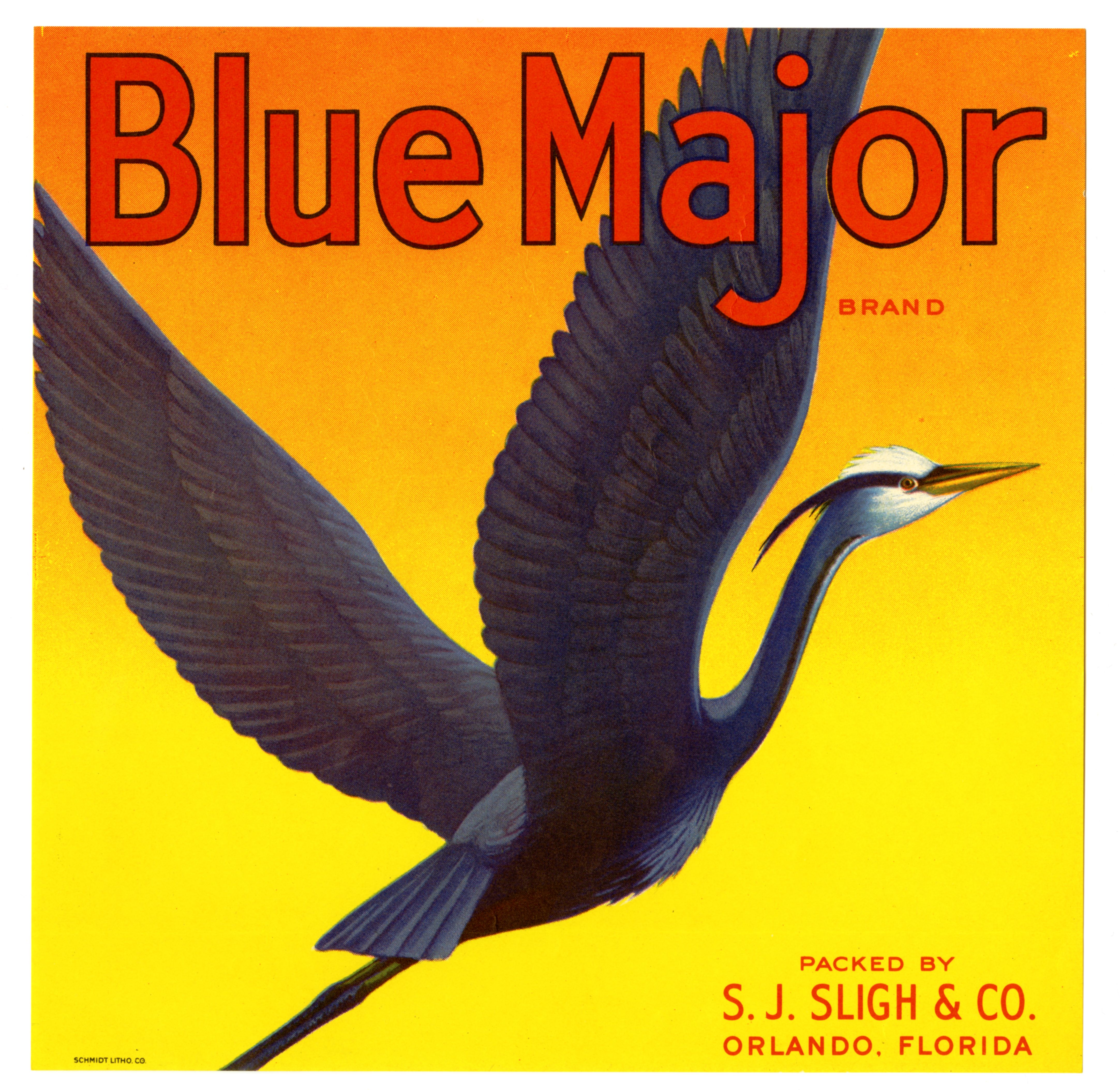 Blue Major Brand