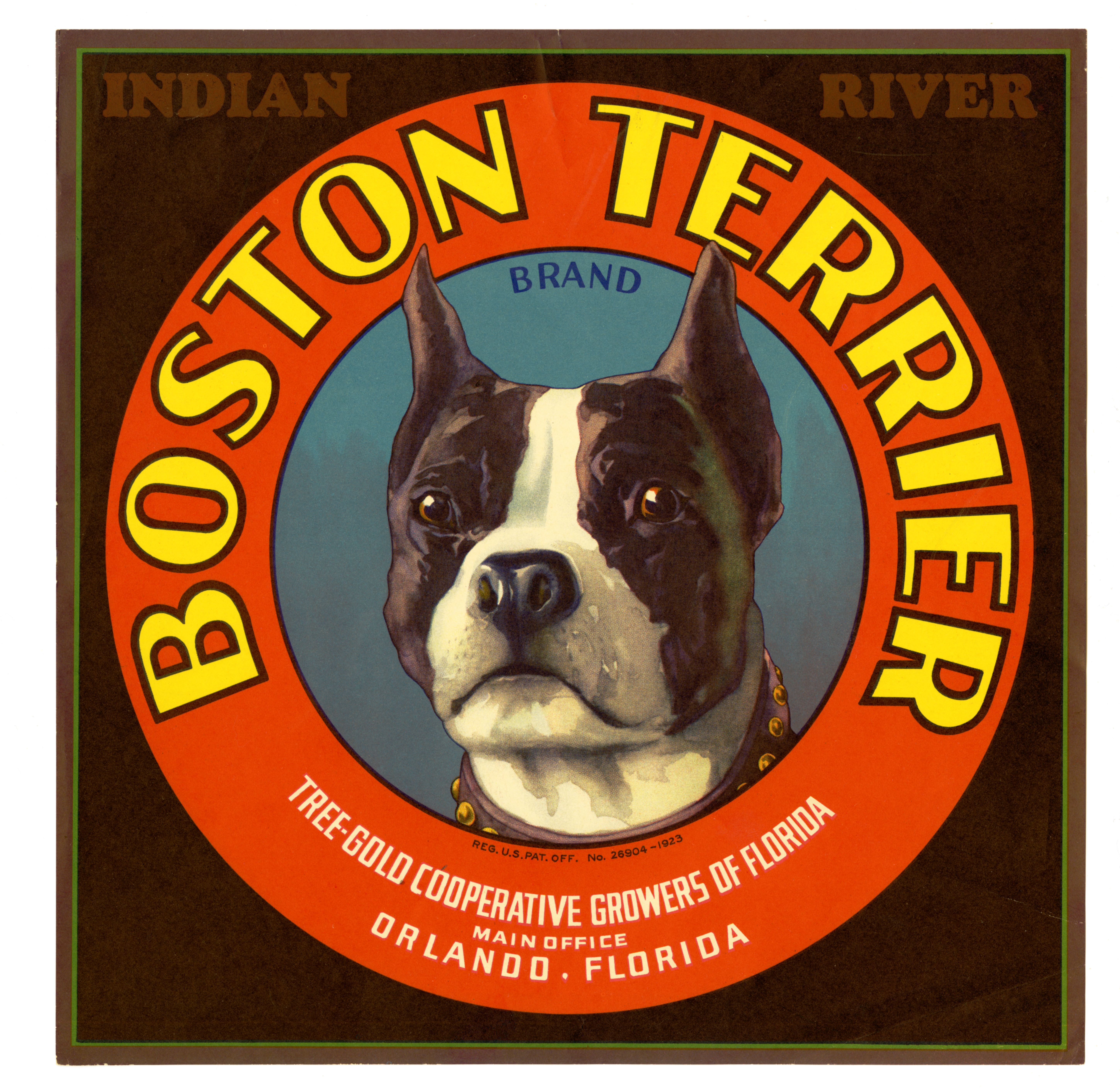 Boston Terrier Brand