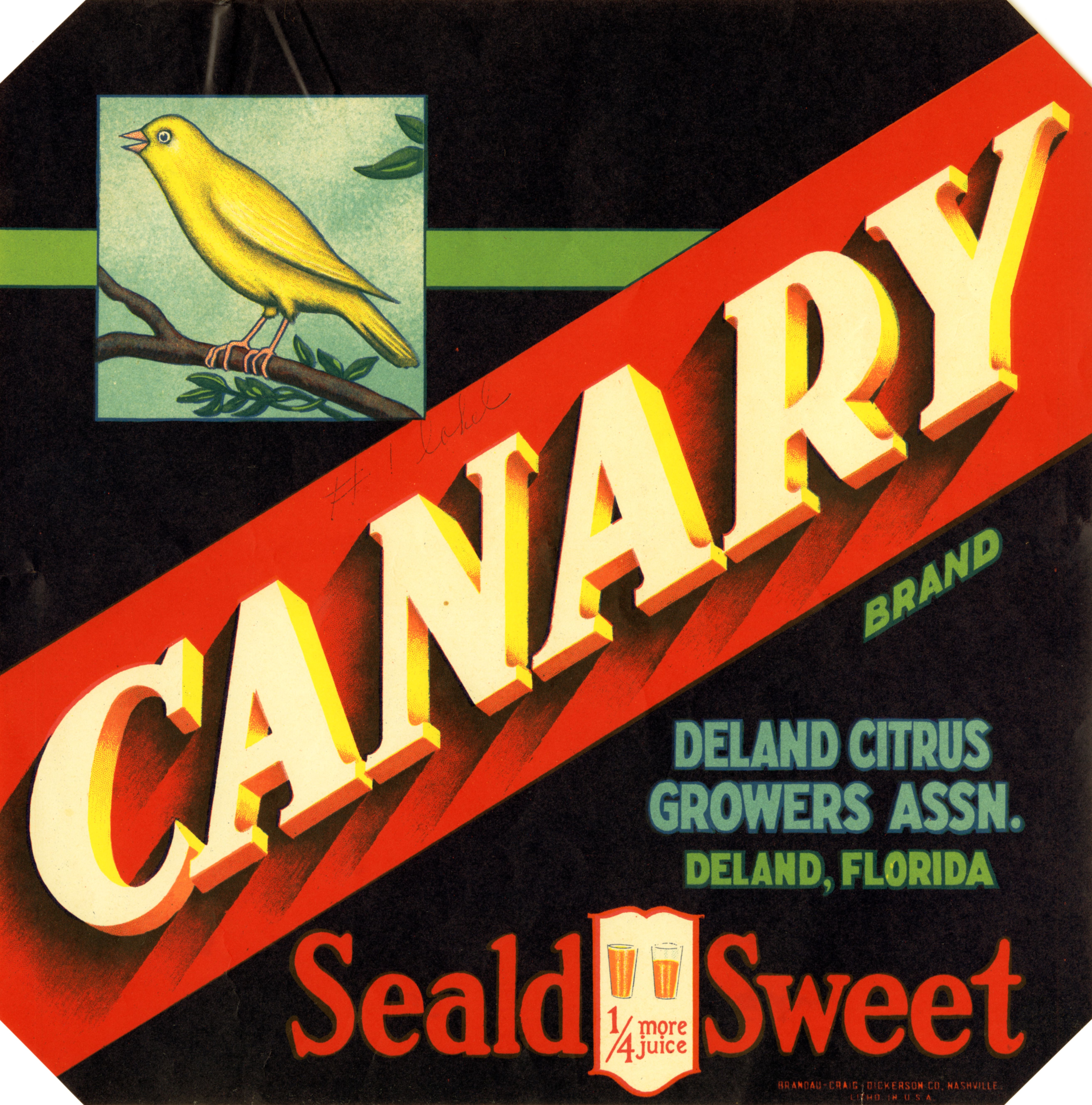 Canary Brand