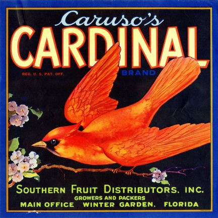 Cardinal Brand