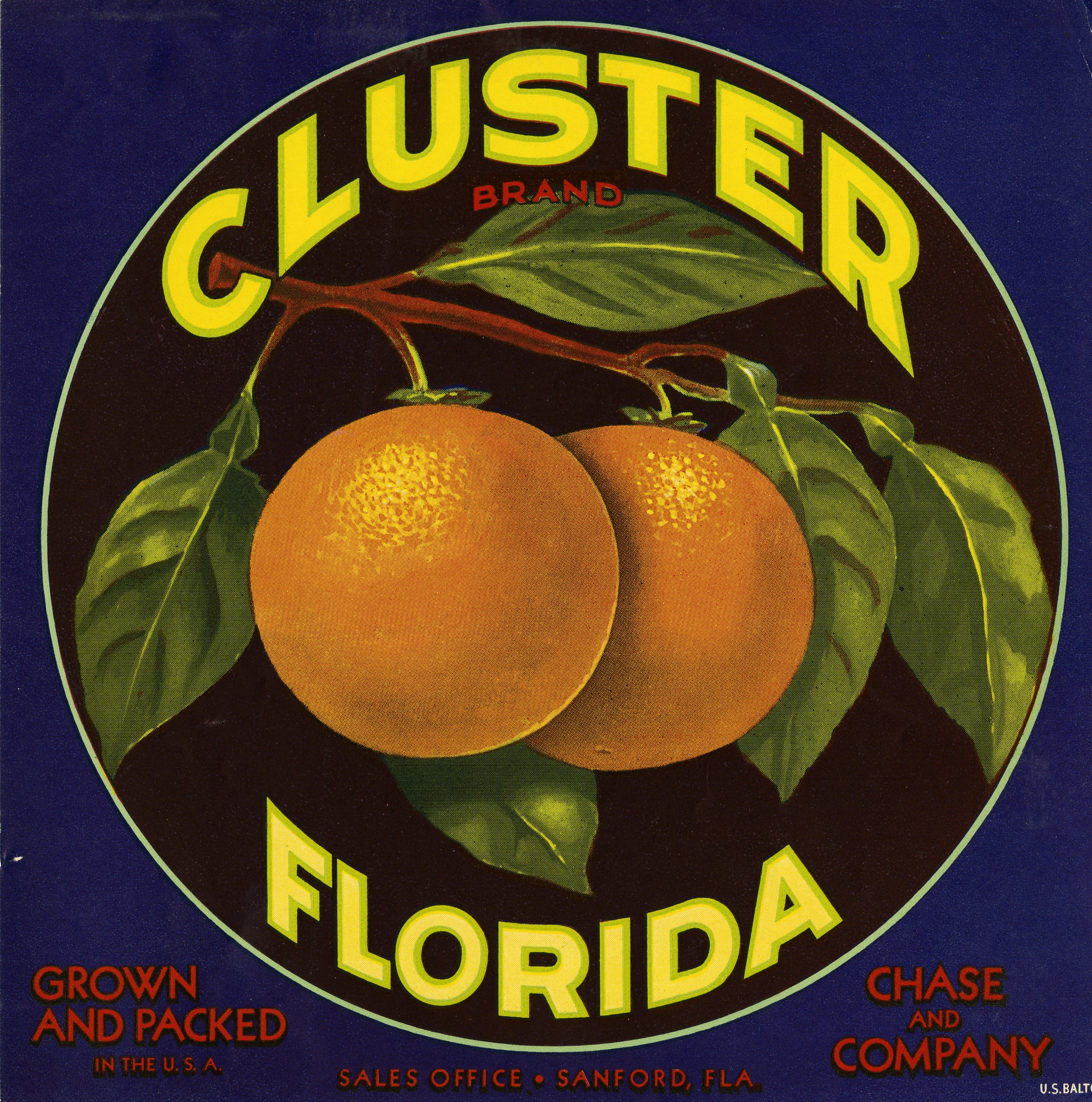 Cluster Brand