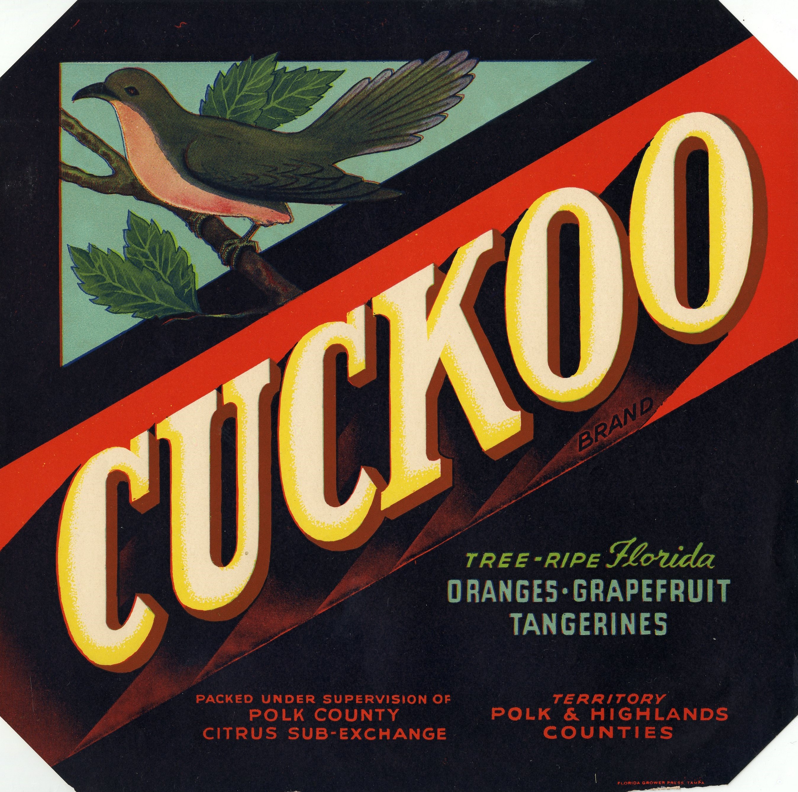 Cuckoo Brand