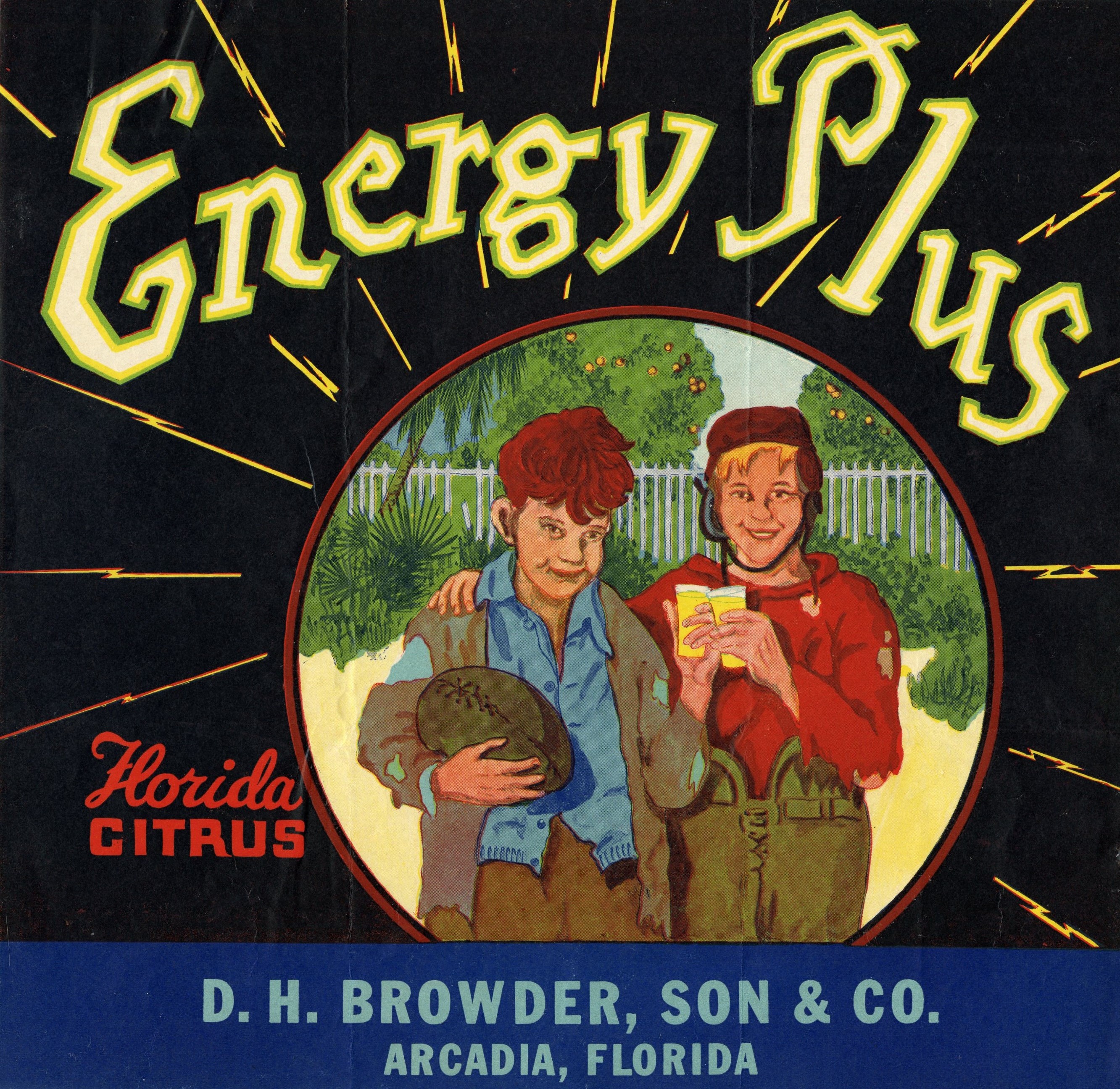 Energy Plus