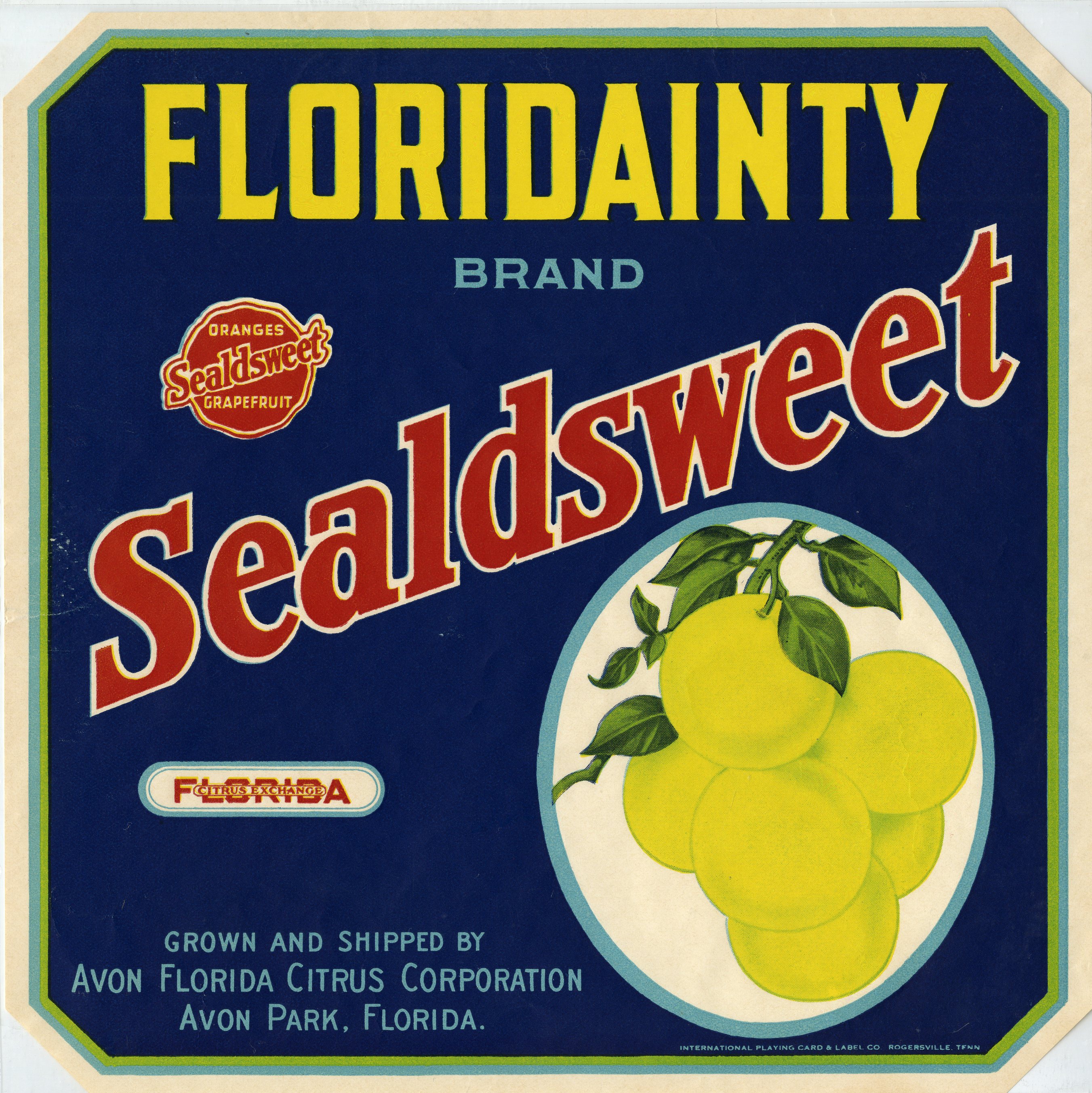 Floridainty Brand
