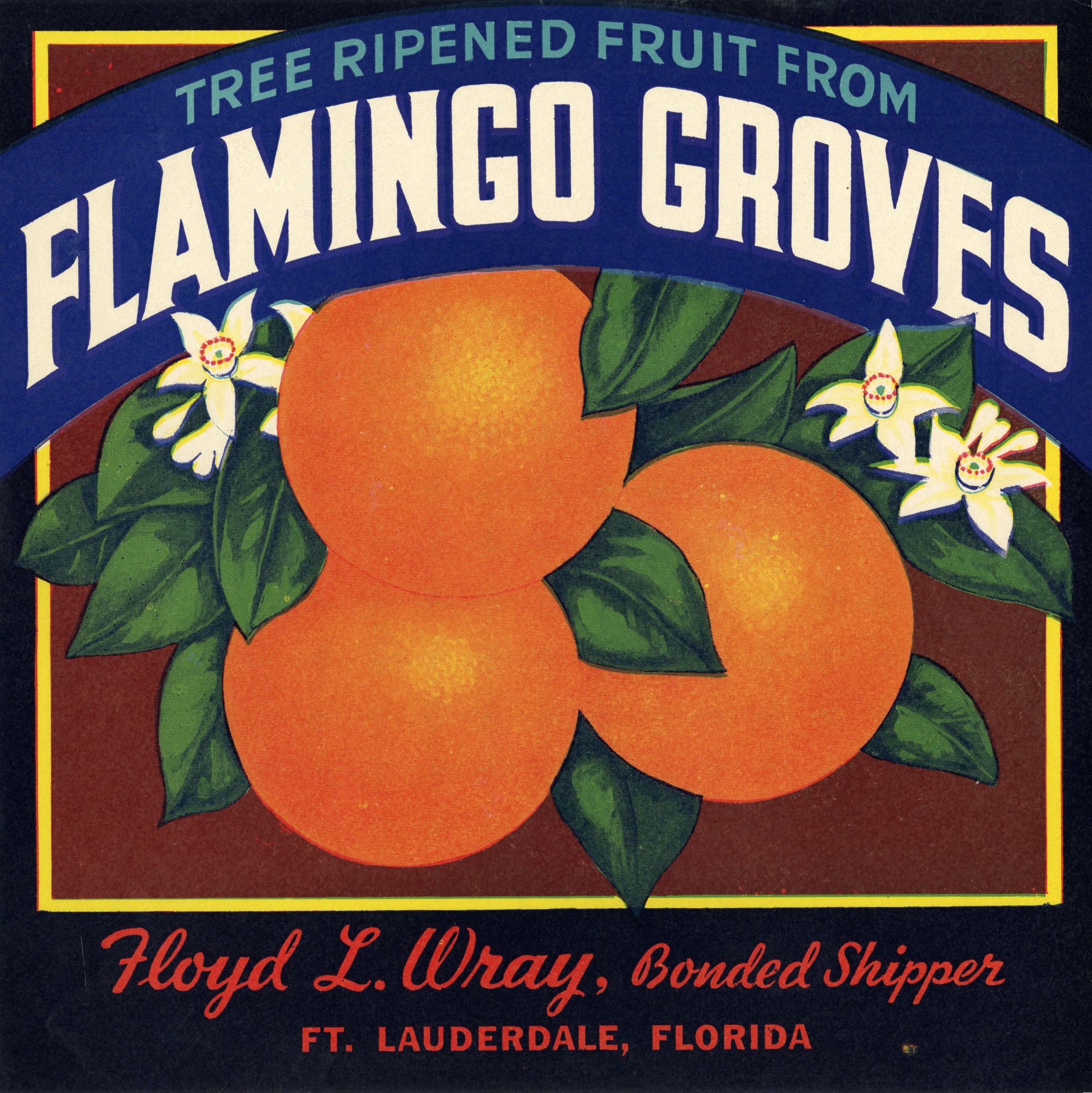 Flamingo Groves