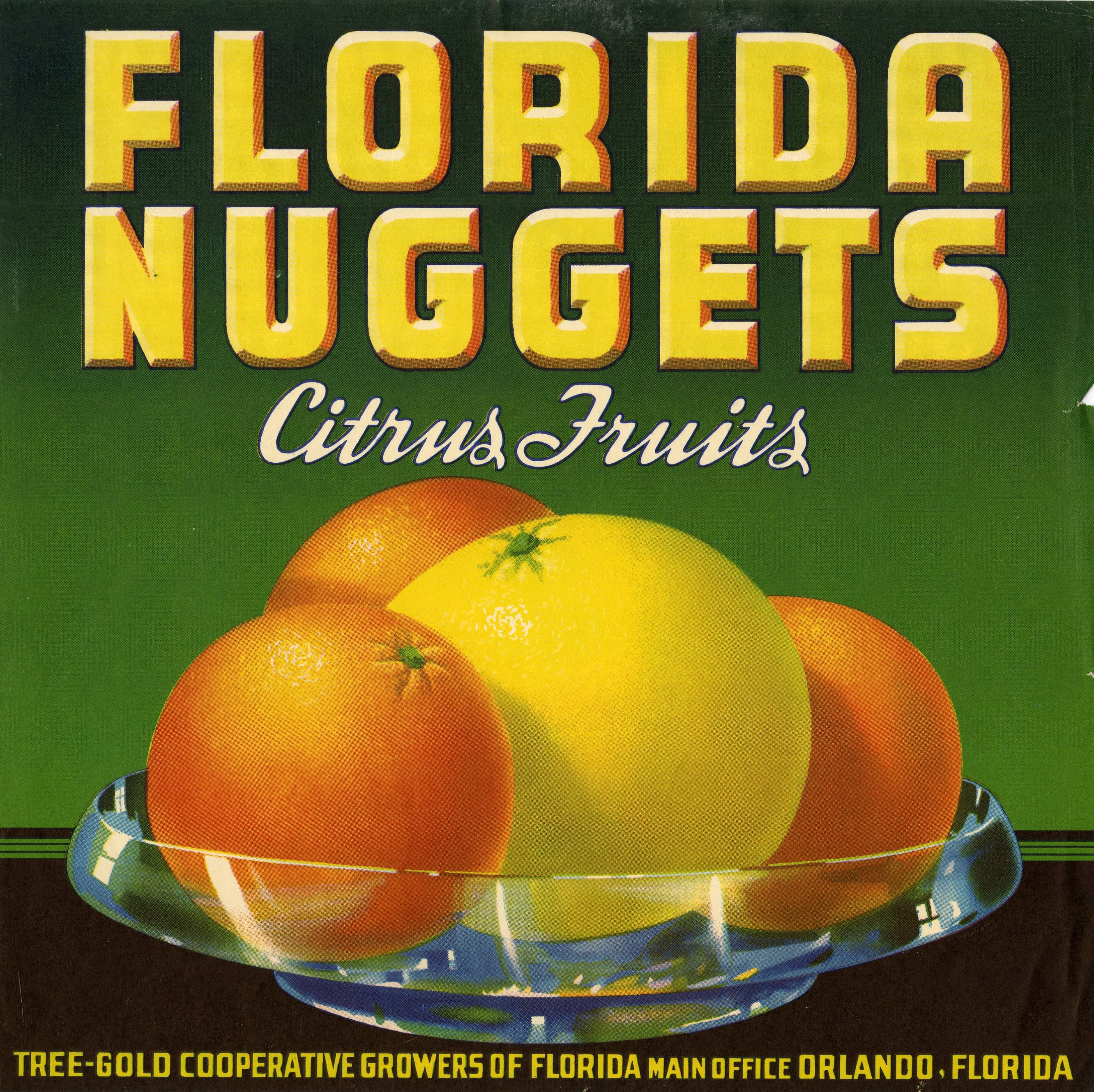 Florida Nuggets