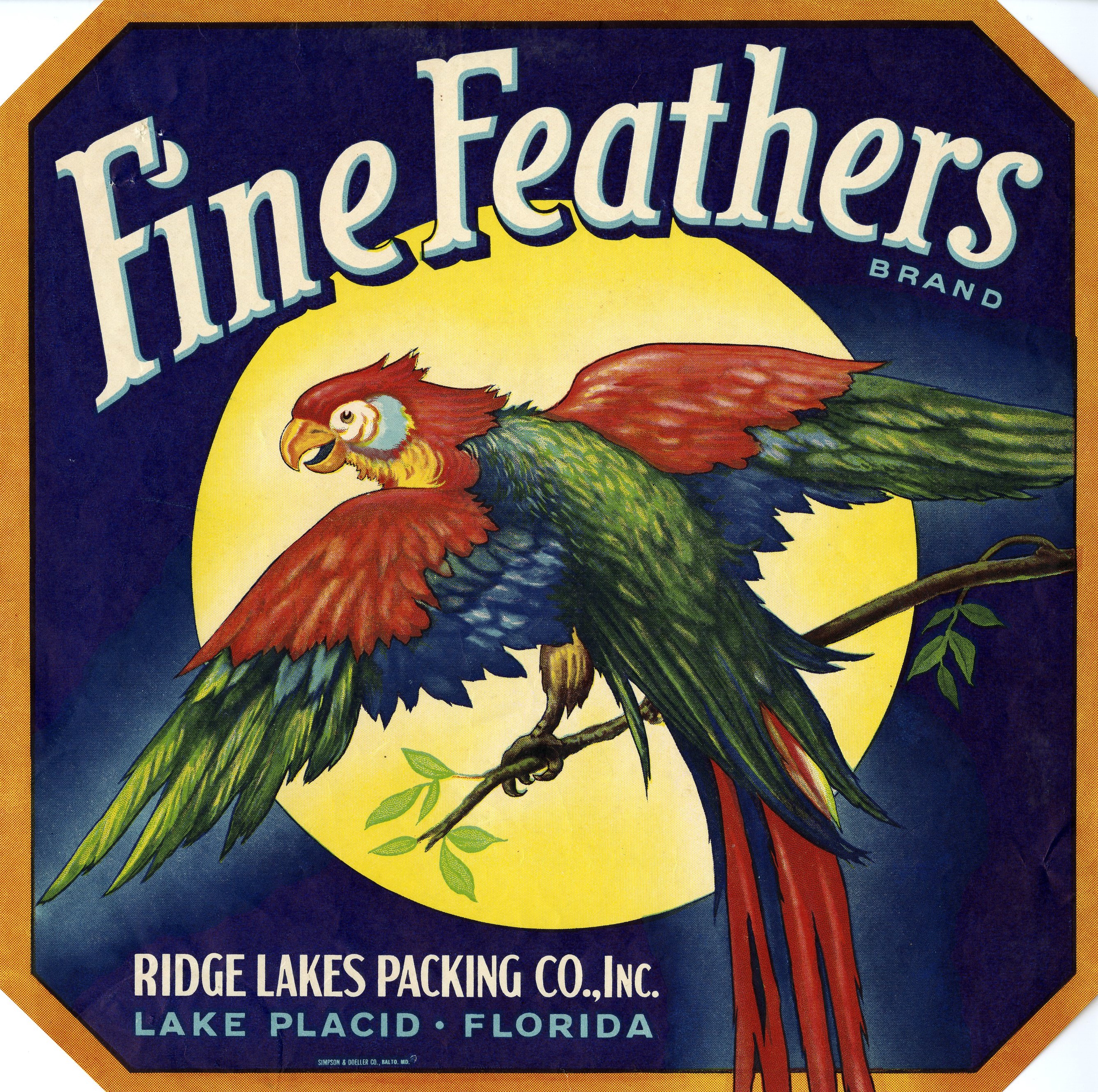 Fine Feather Brand