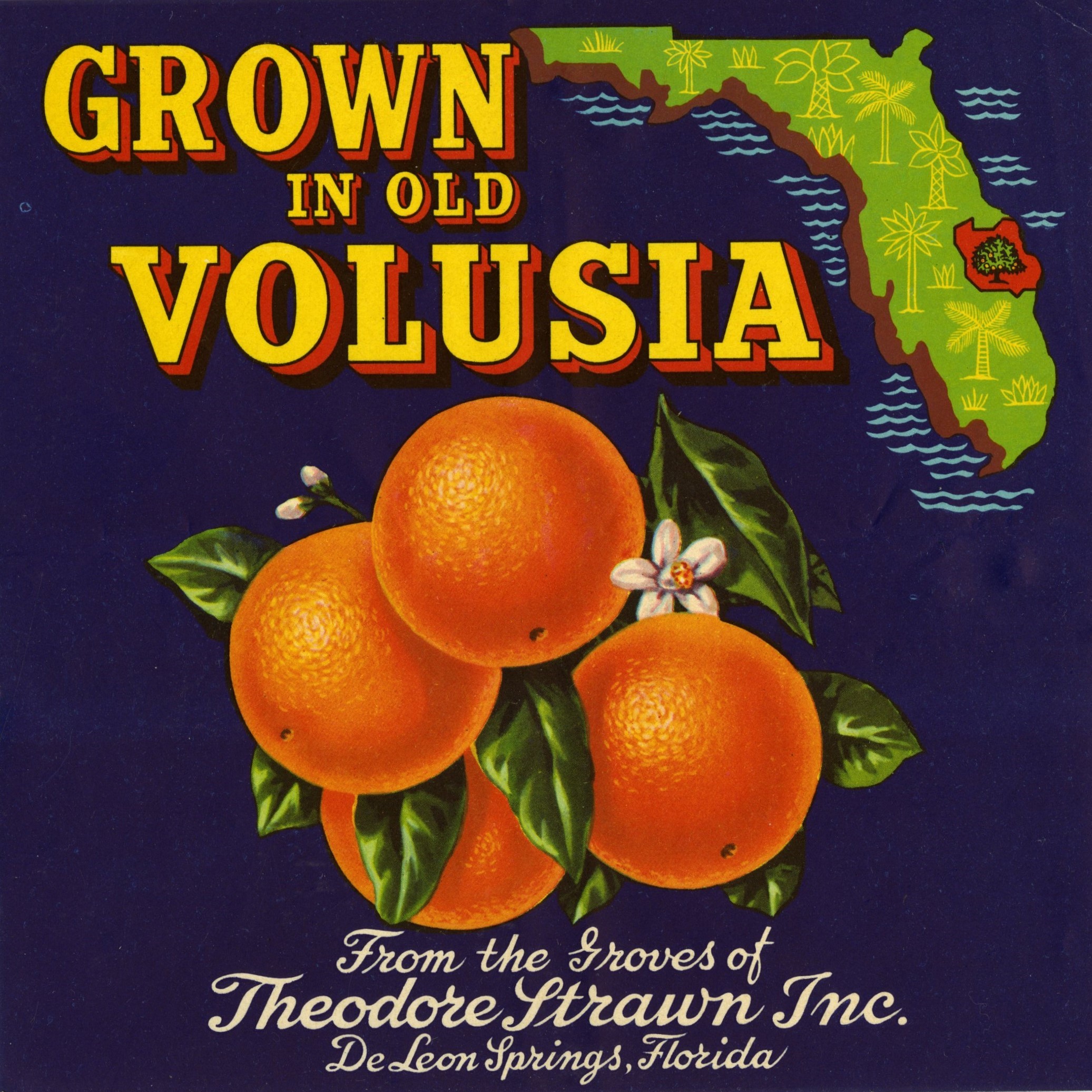 Grown in Old Volusia