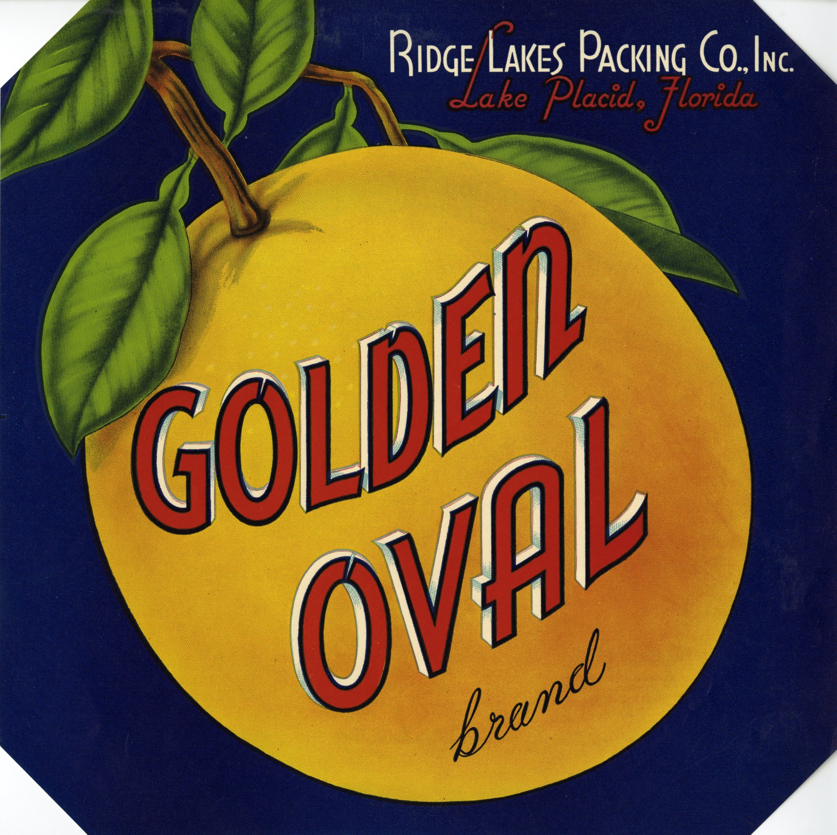 Golden Oval Brand
