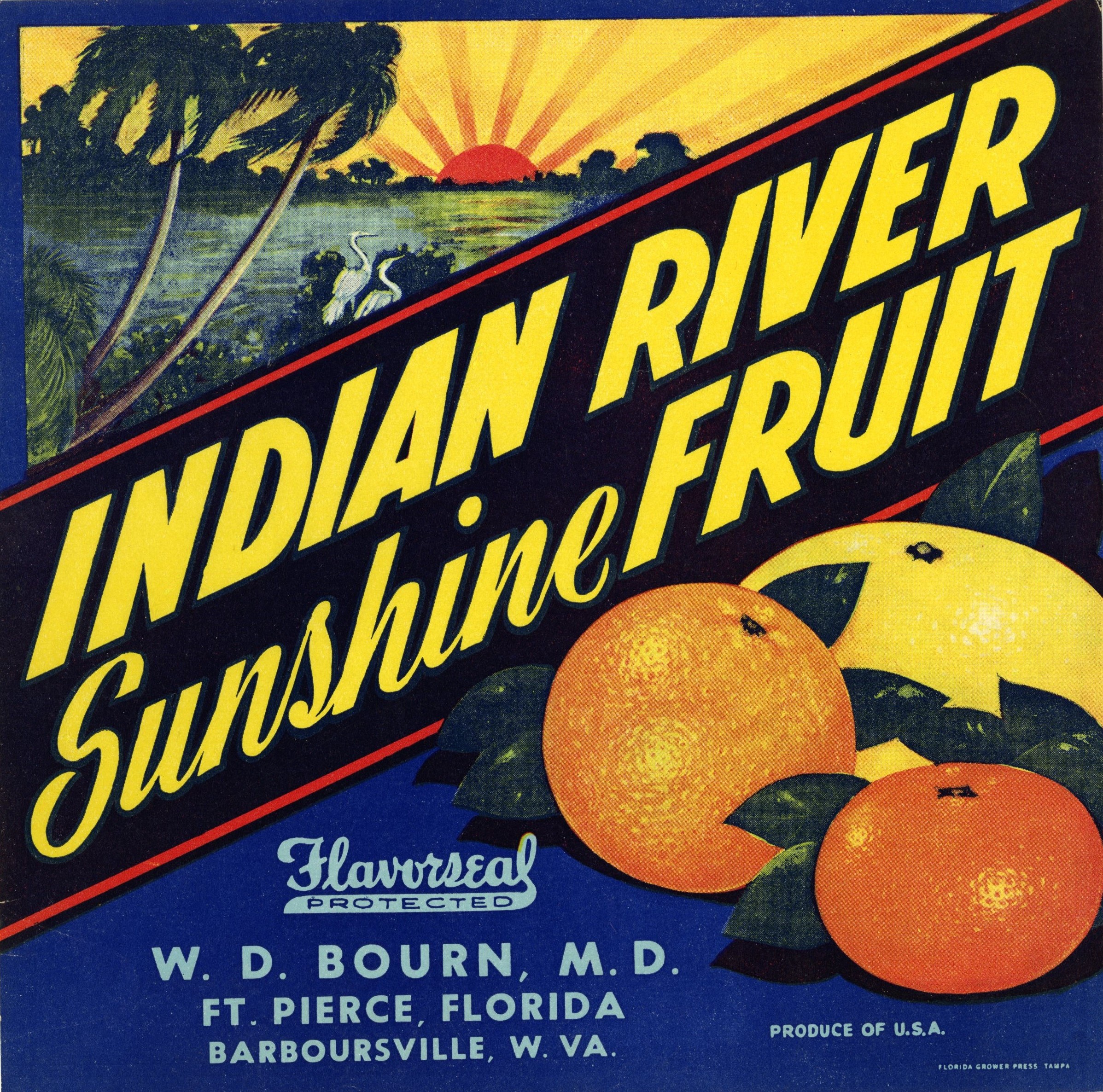 Indian River Sunshine Fruit