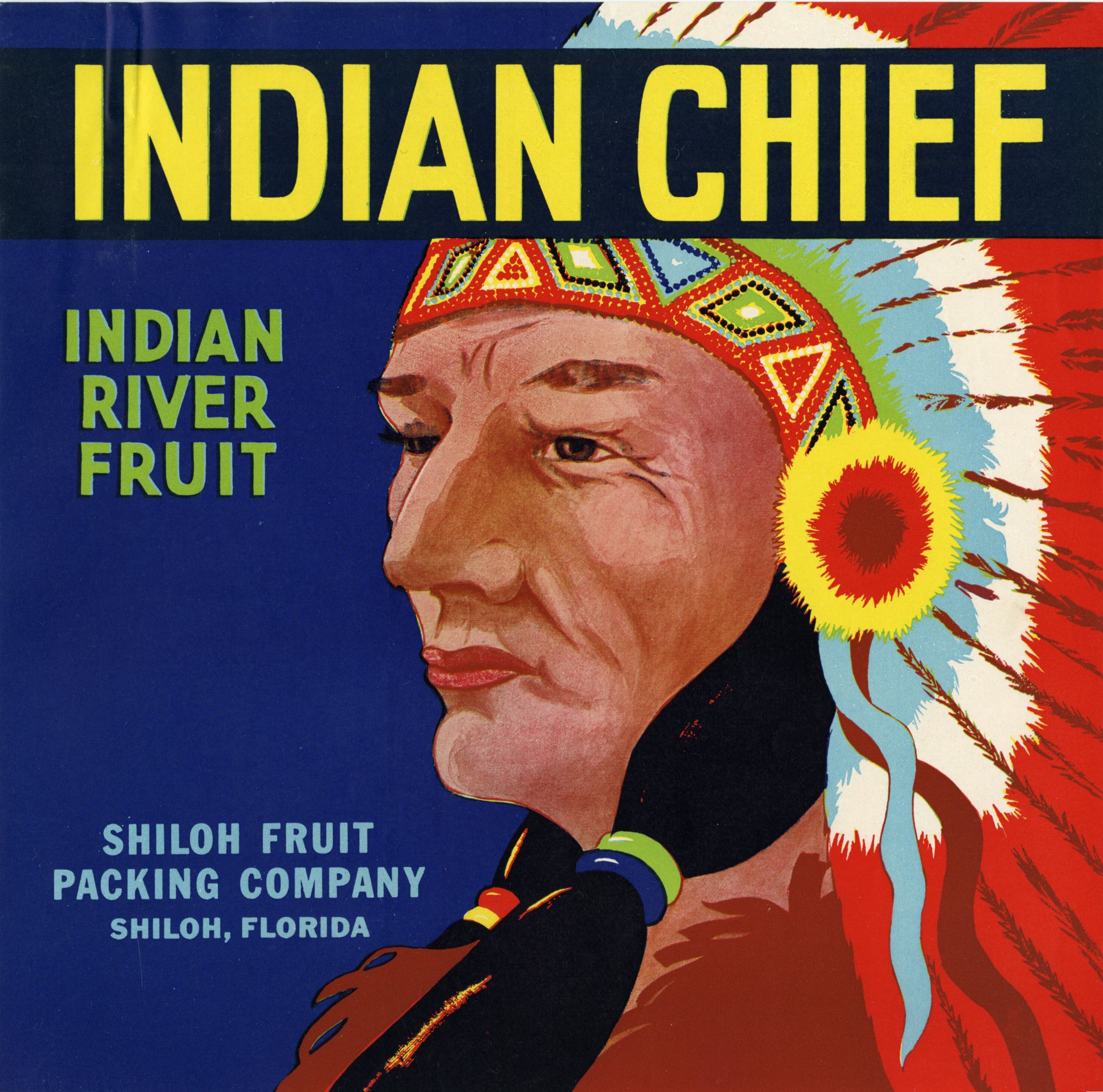 Indian Chief