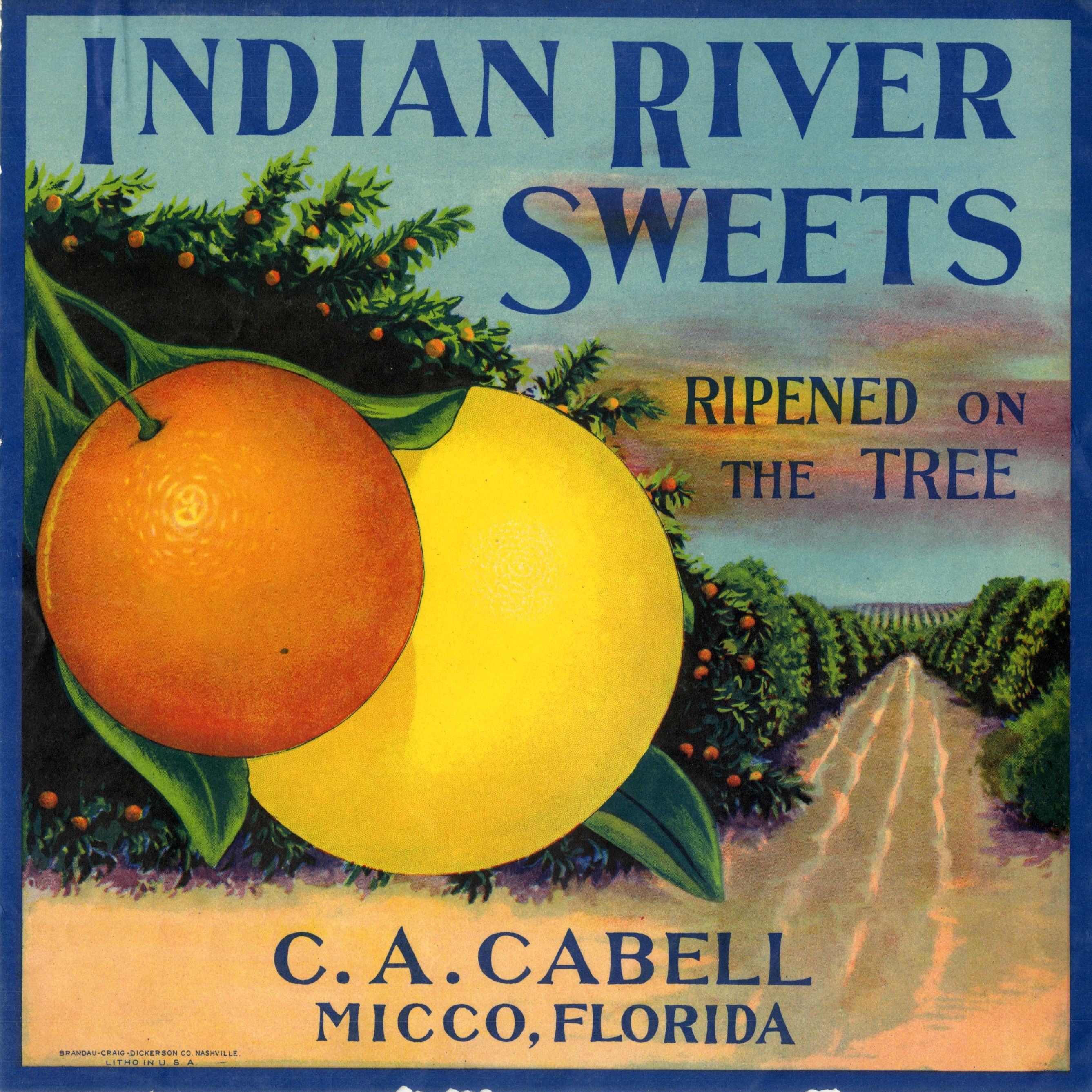 Indian River Sweets
