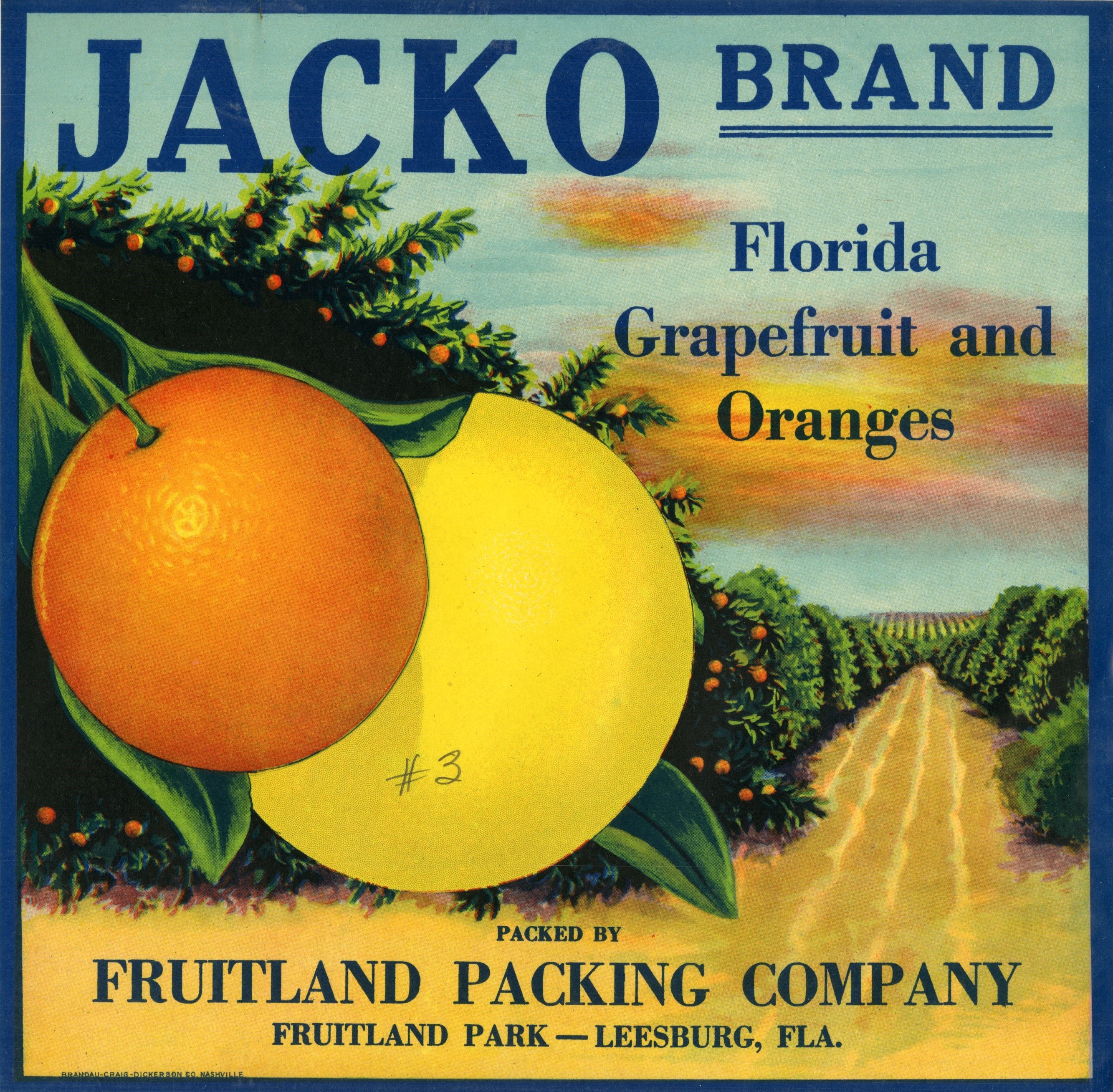 Jacko Brand