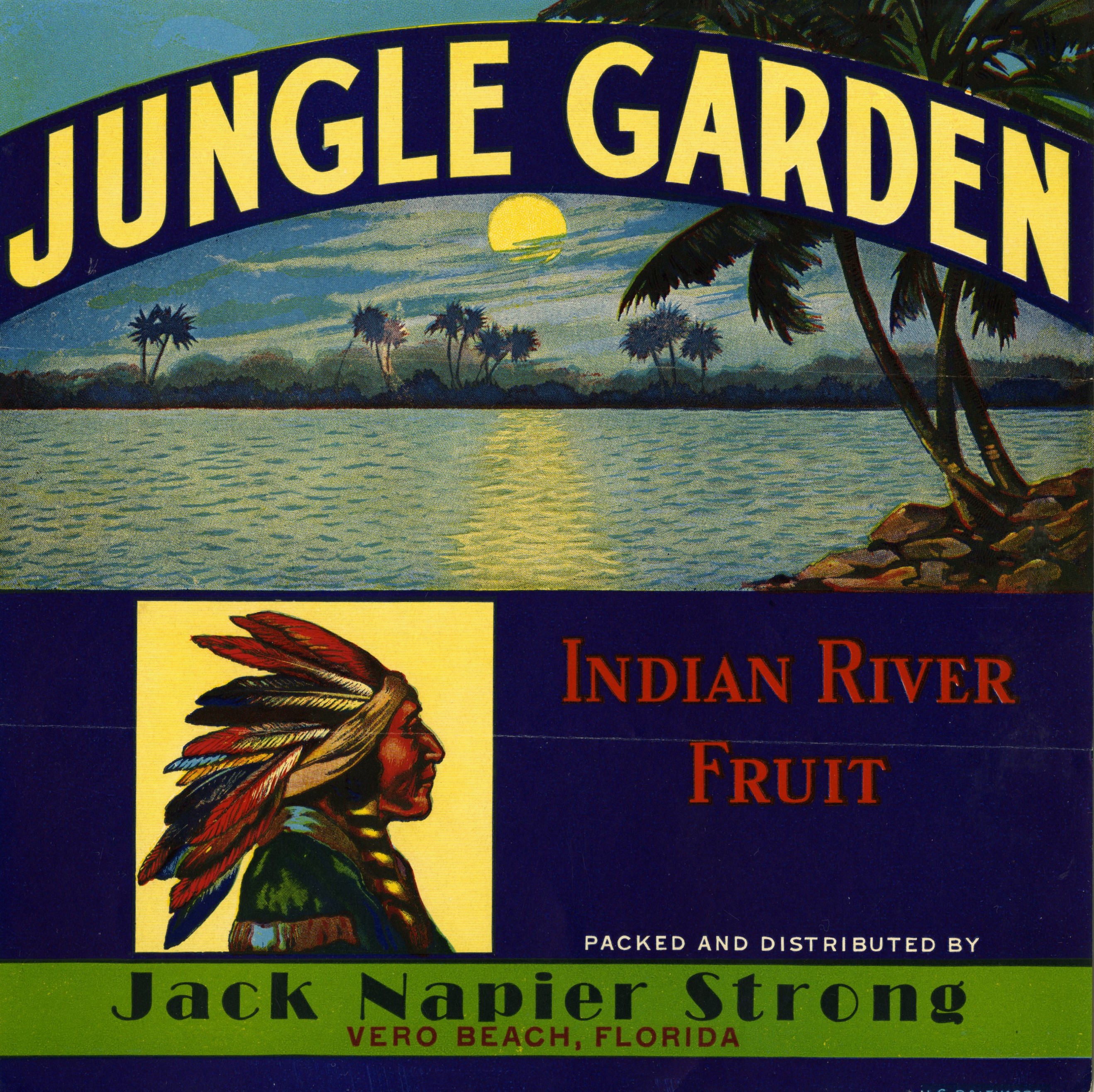 Jungle Garden