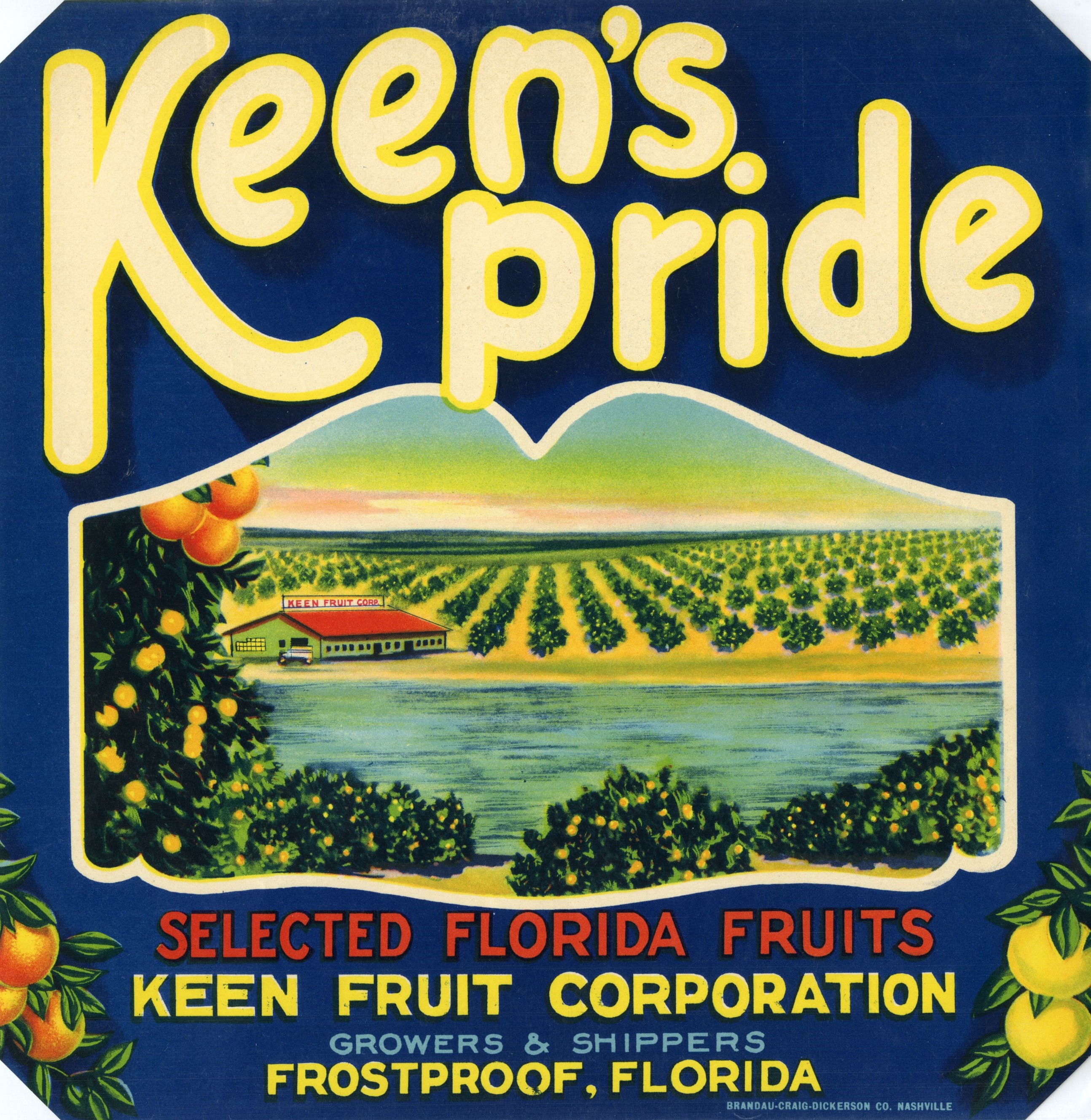 Keen's Pride
