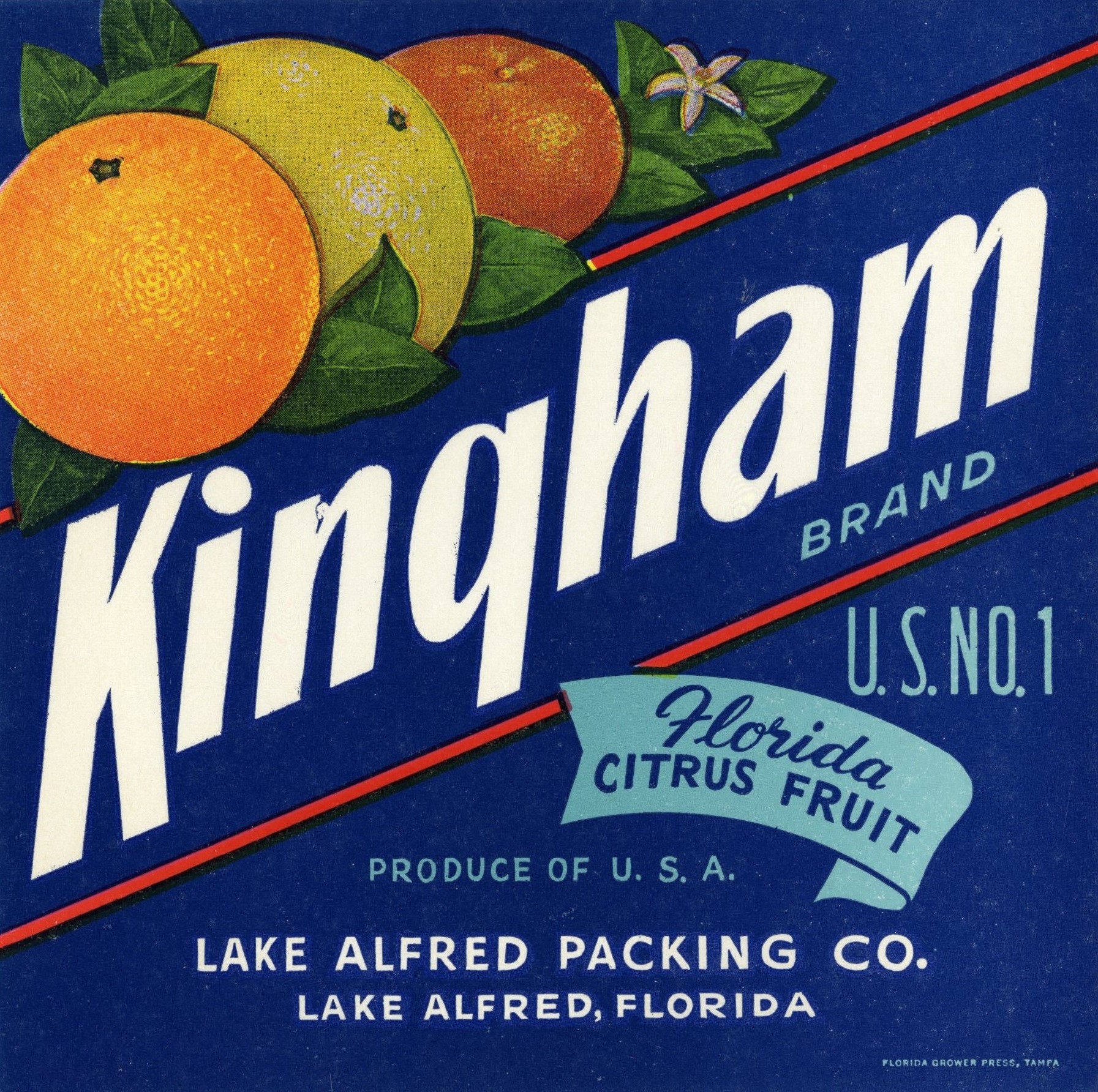 Kingham Brand