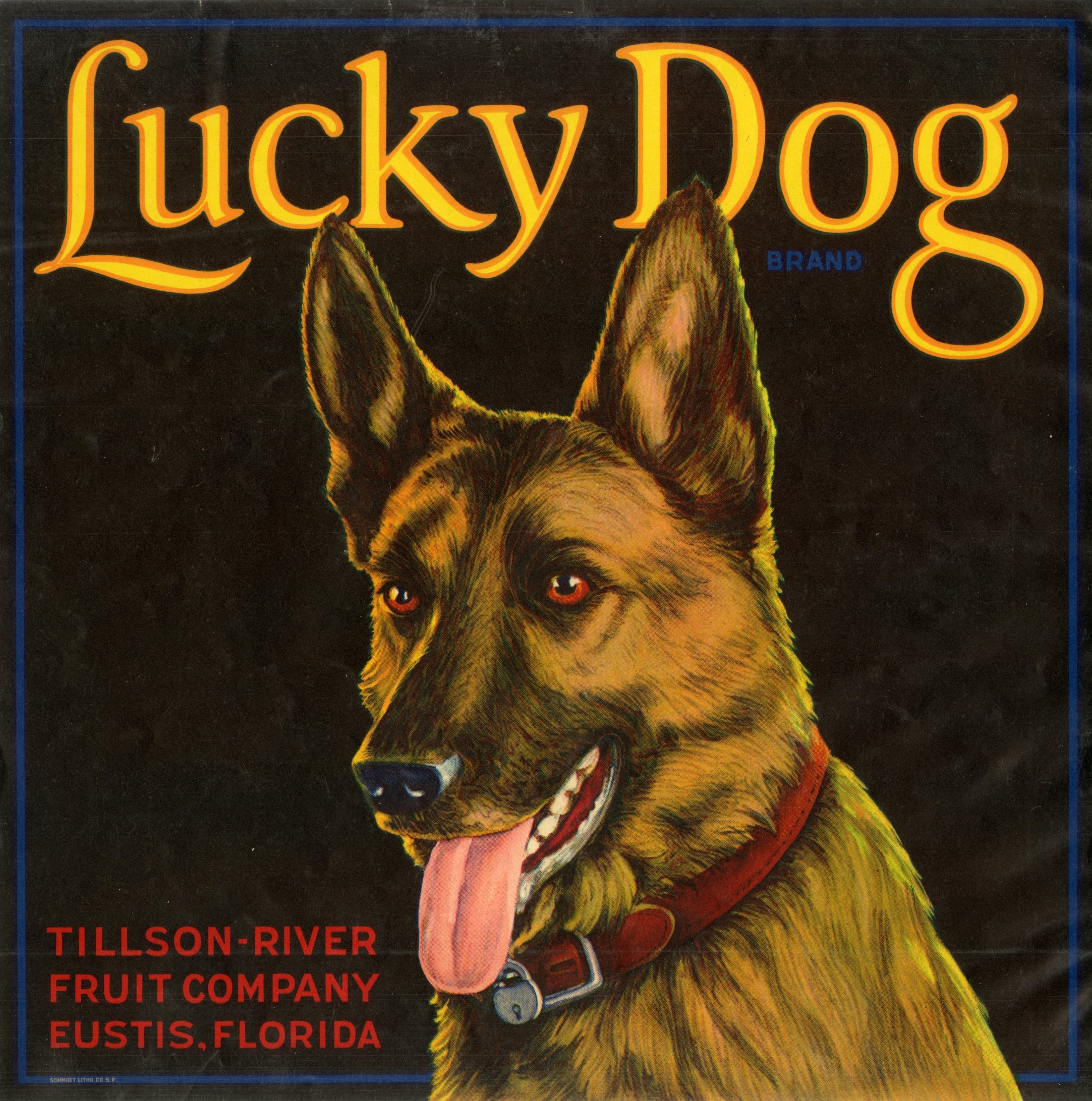 Lucky Dog Brand