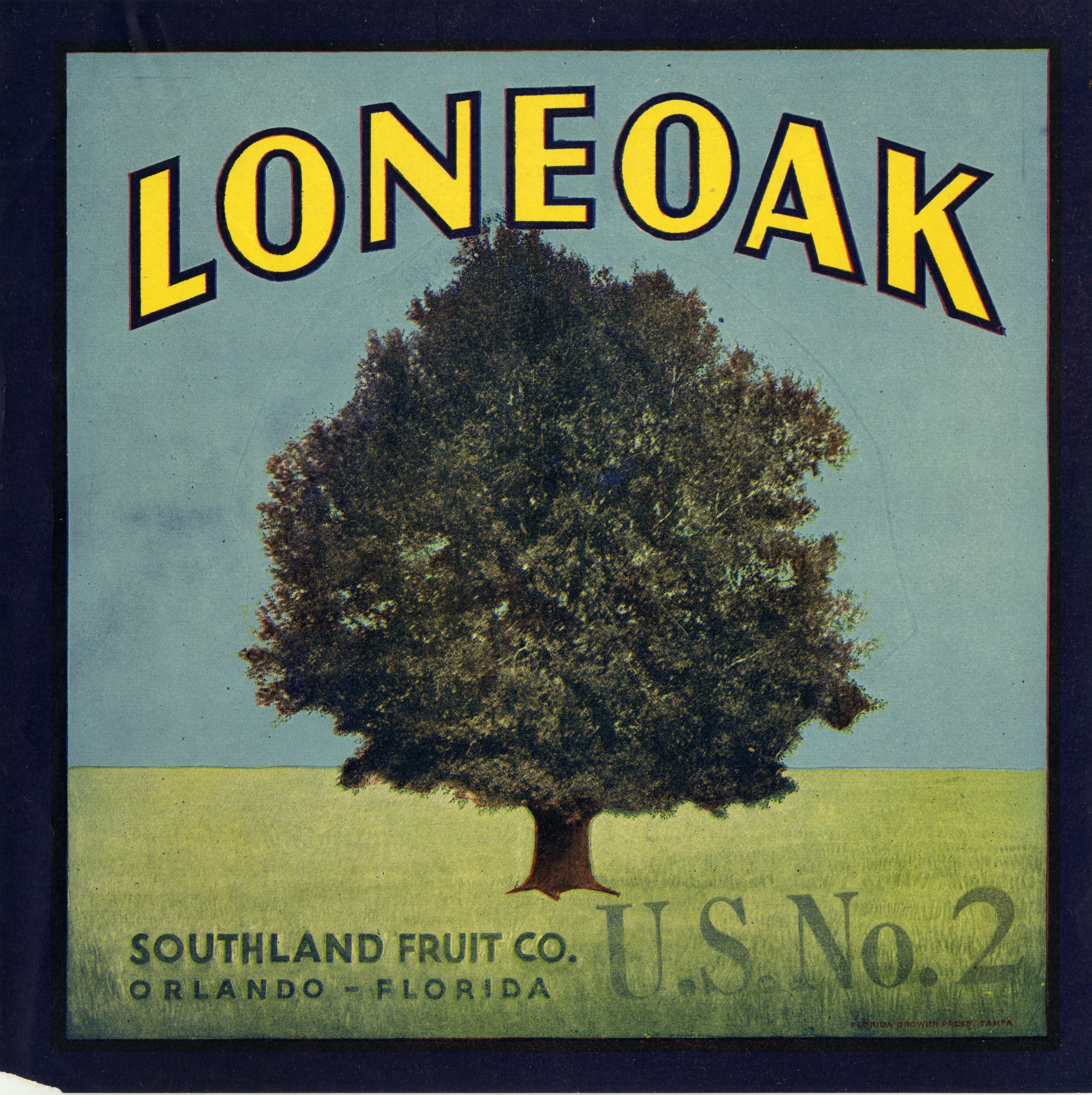 Lone Oak