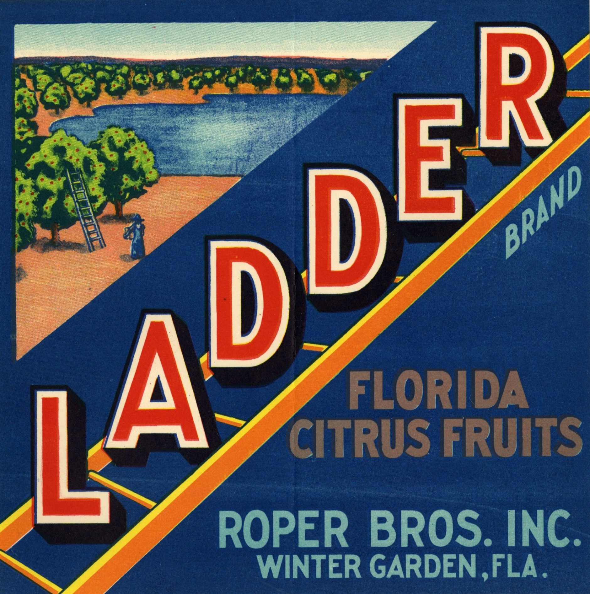 Ladder Brand
