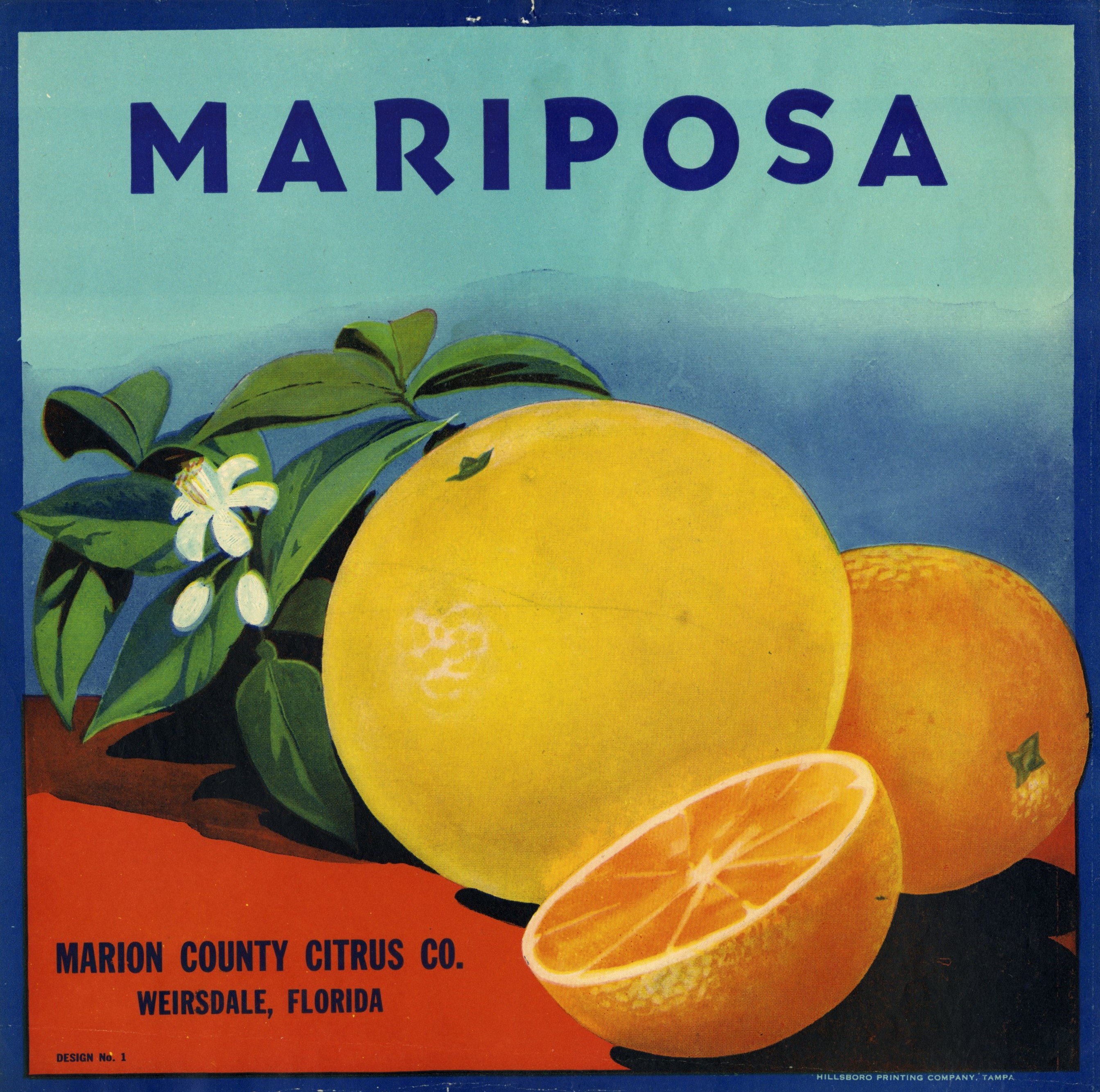 Mariposa