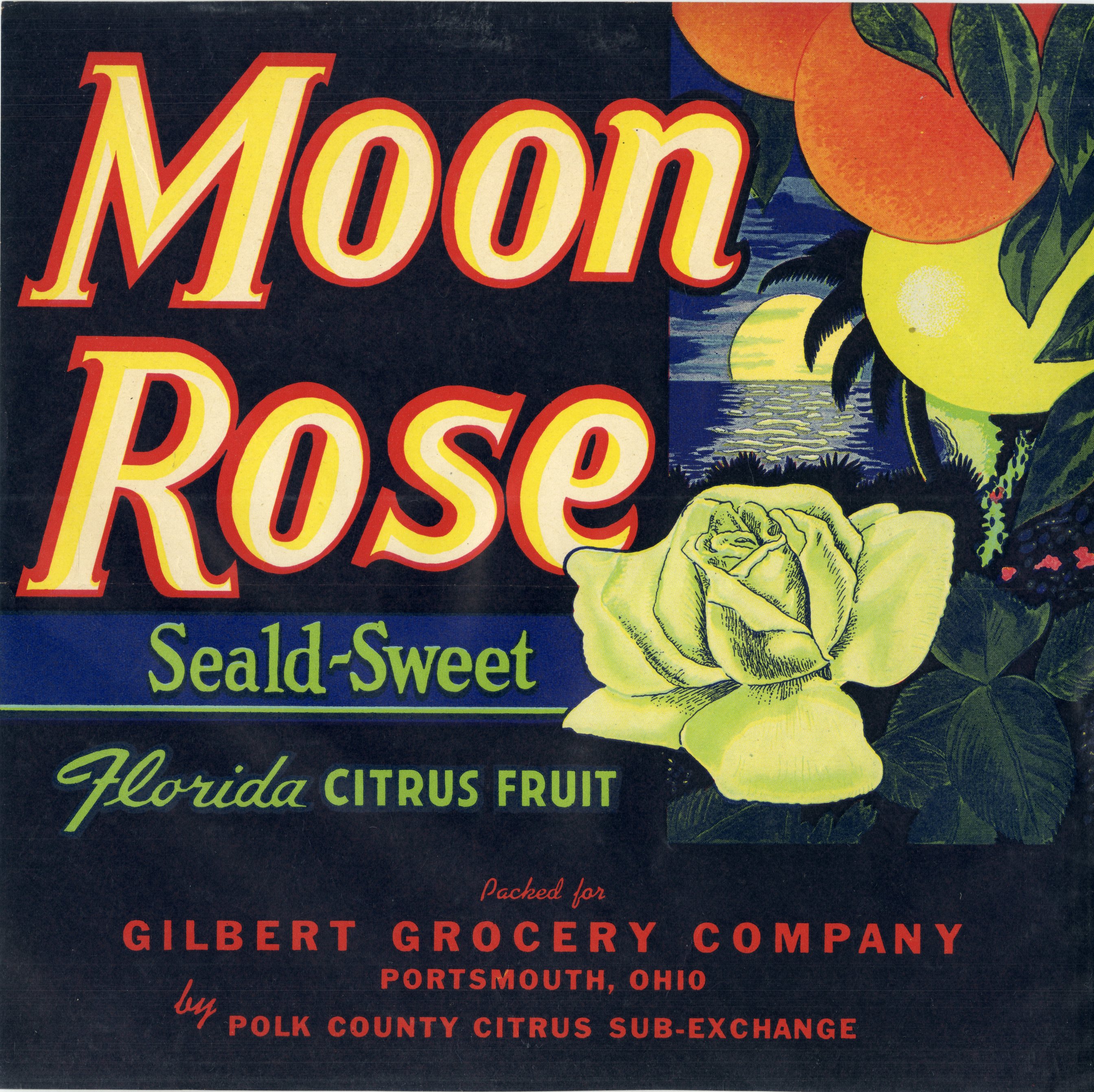 Moon Rose