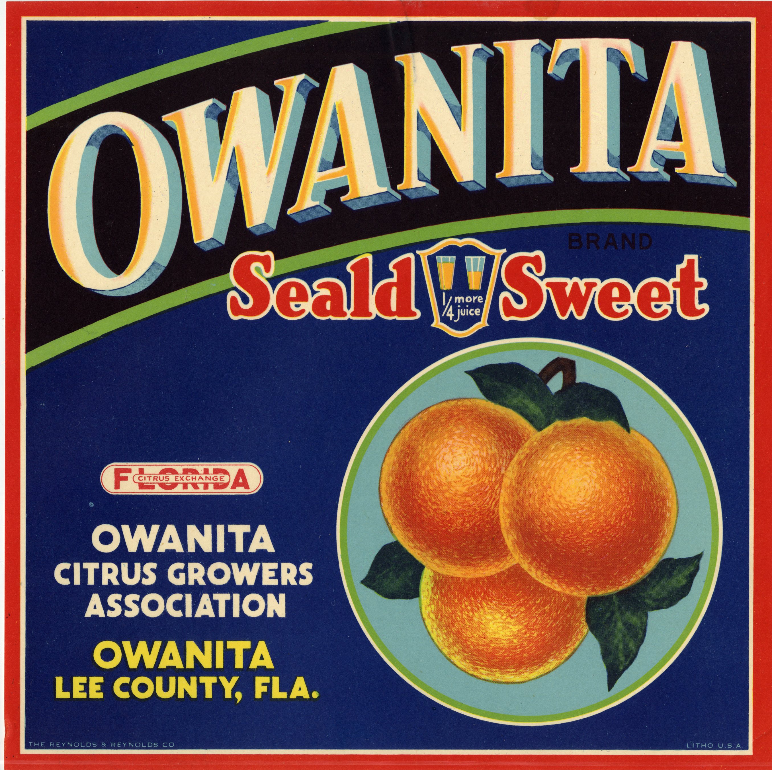 Owanita