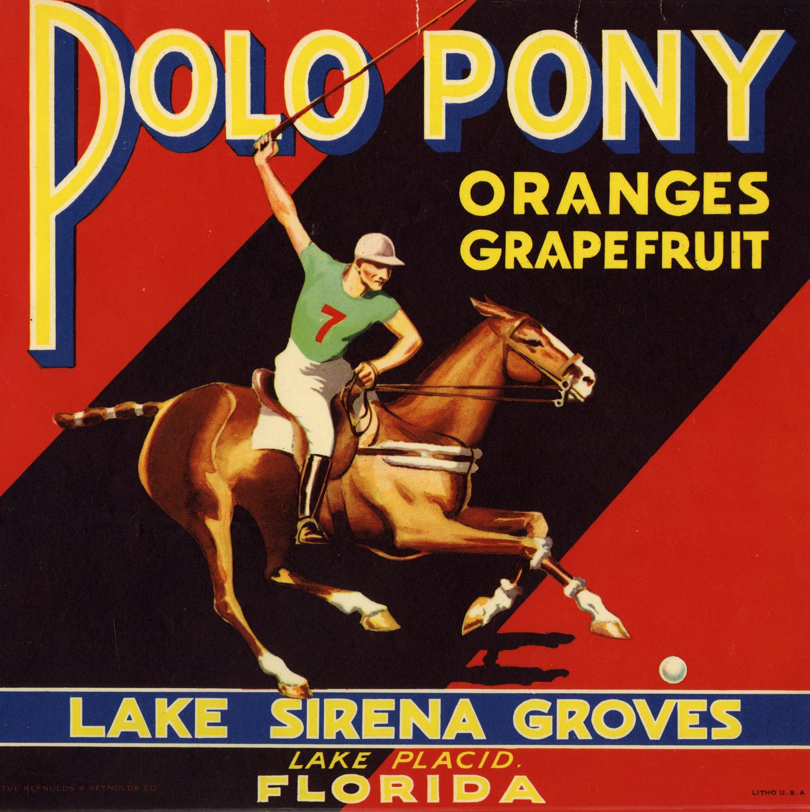 Polo Pony