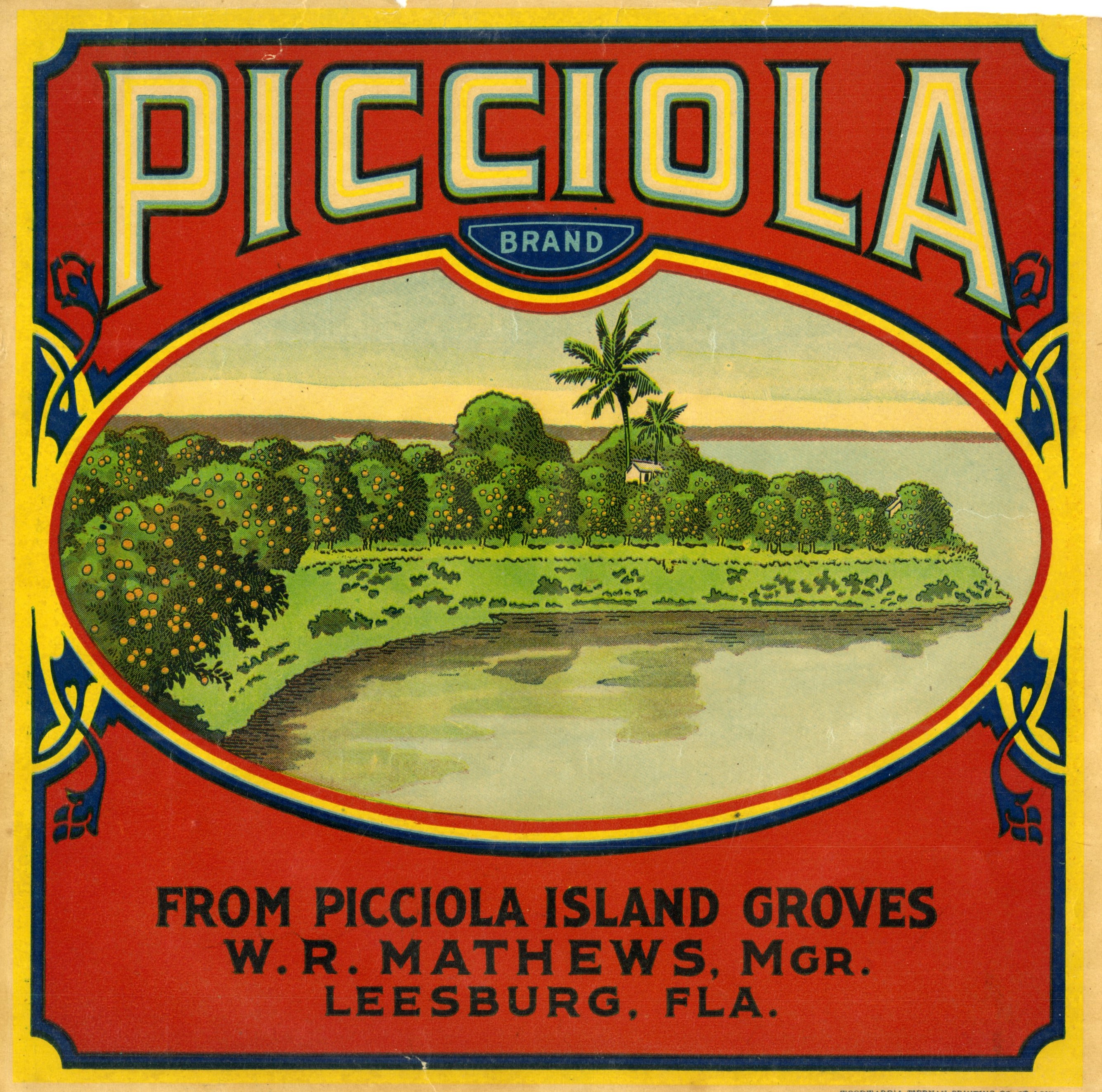 Picciola Brand