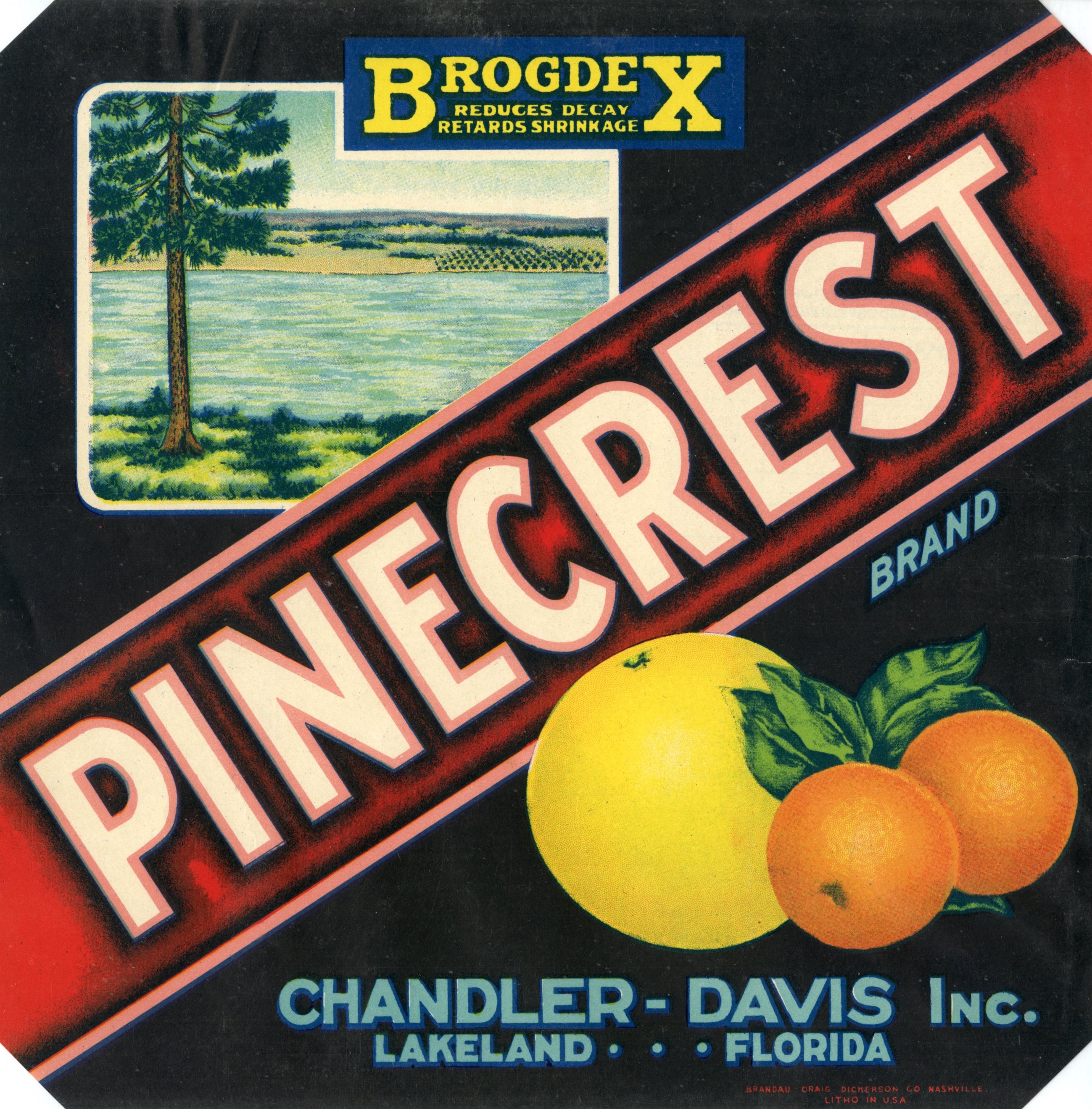 Pinecrest Brand