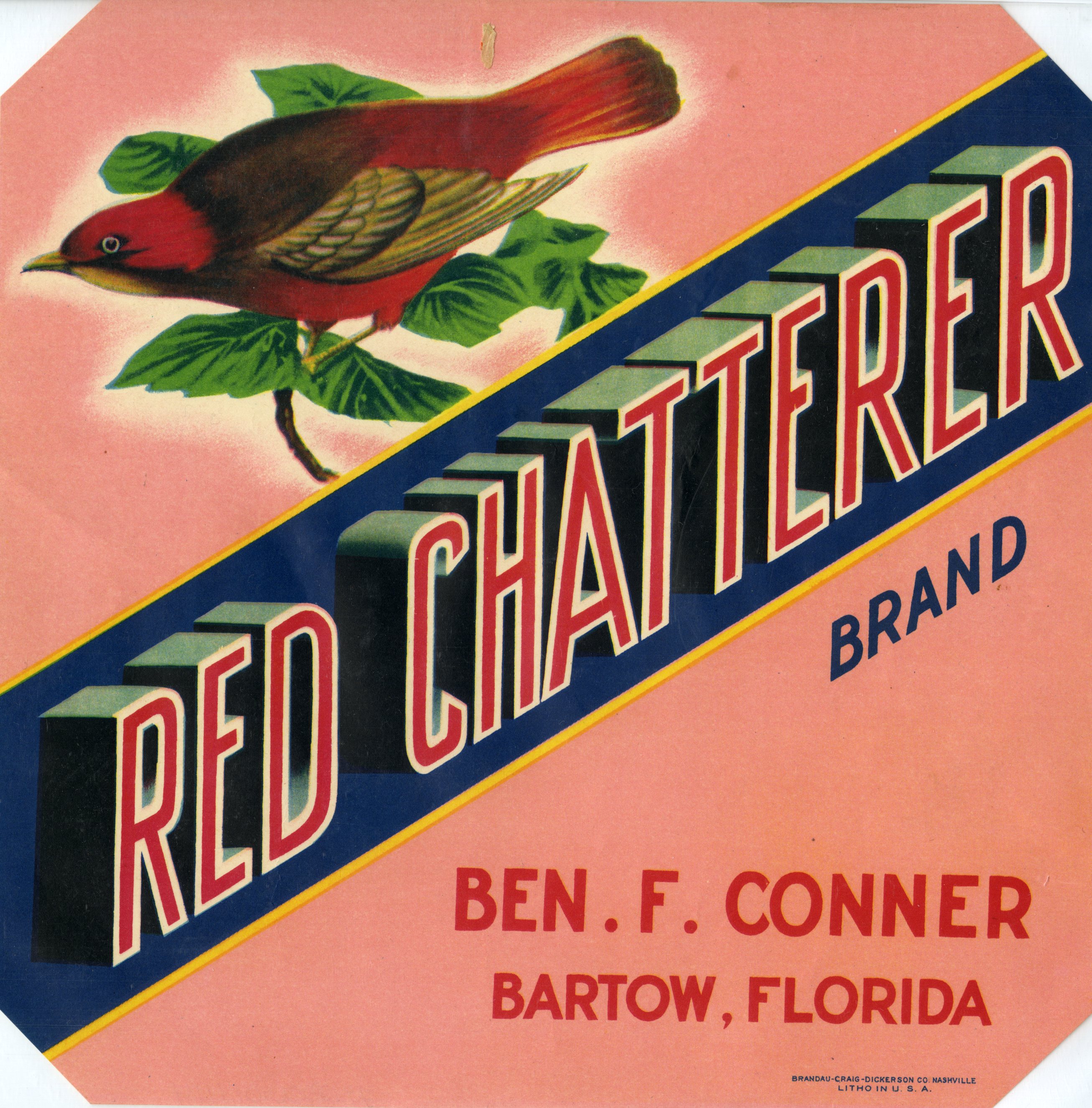 Red Chatterer Brand