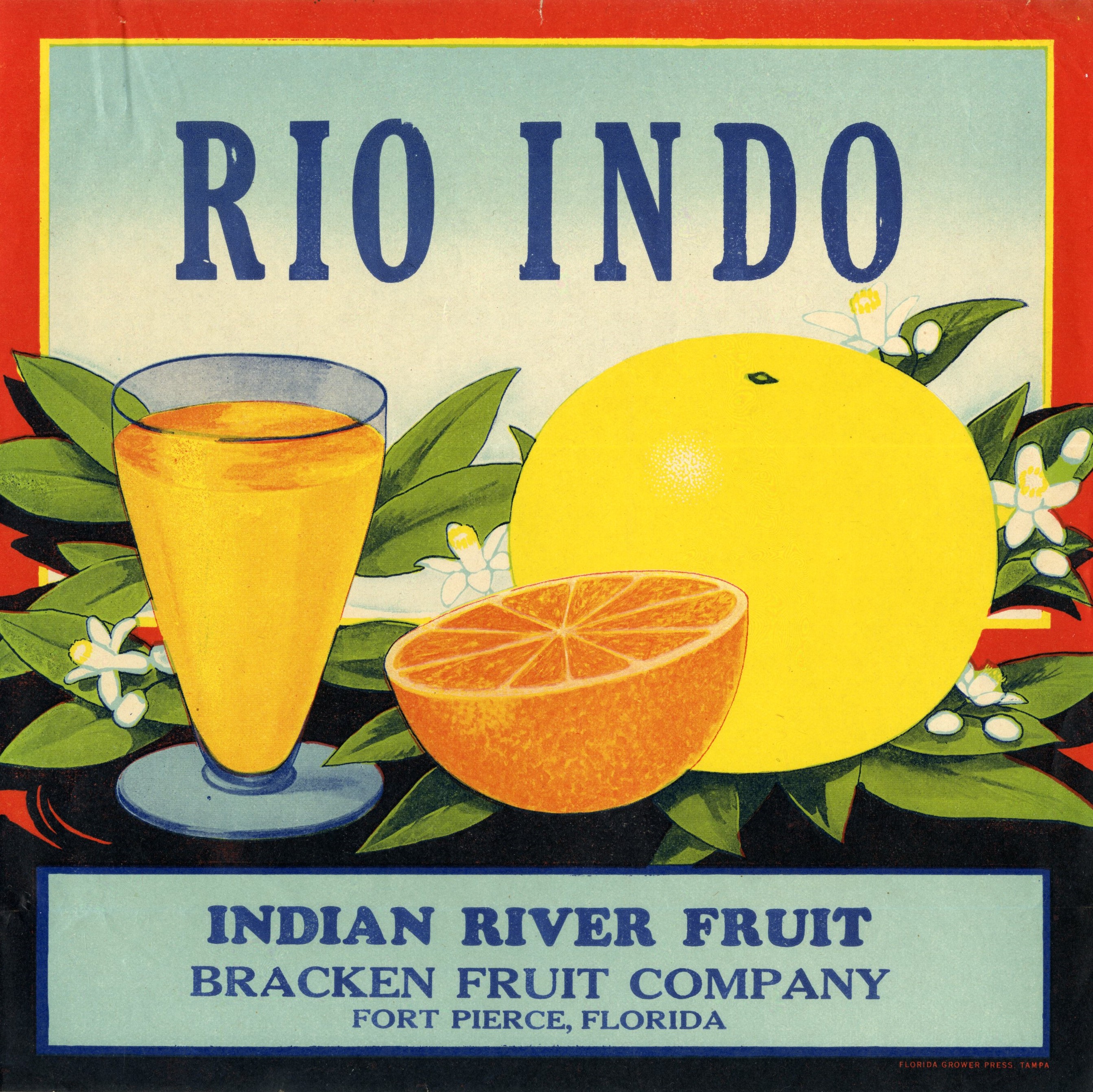 Rio Indo
