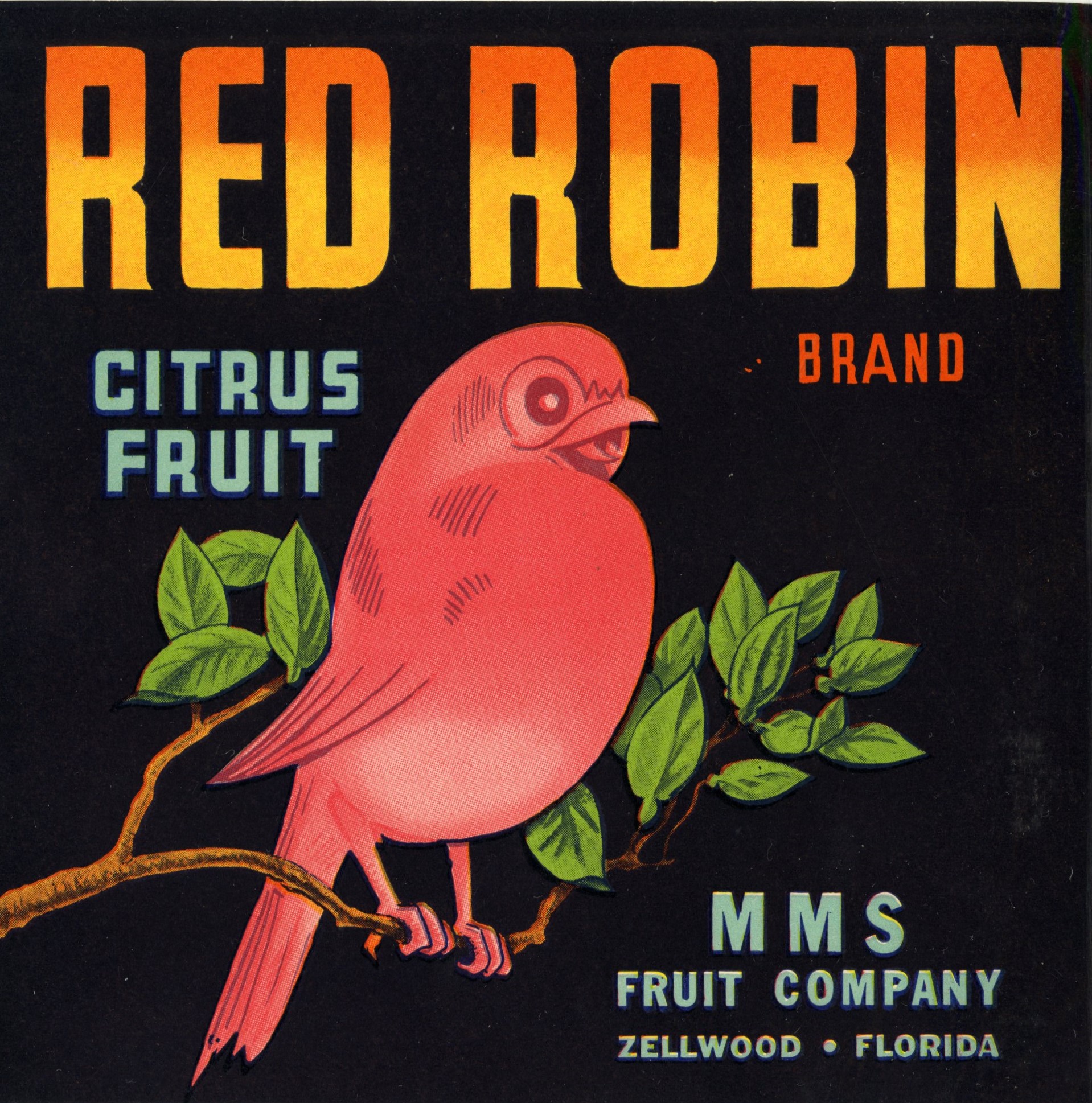 Red Robin Brand