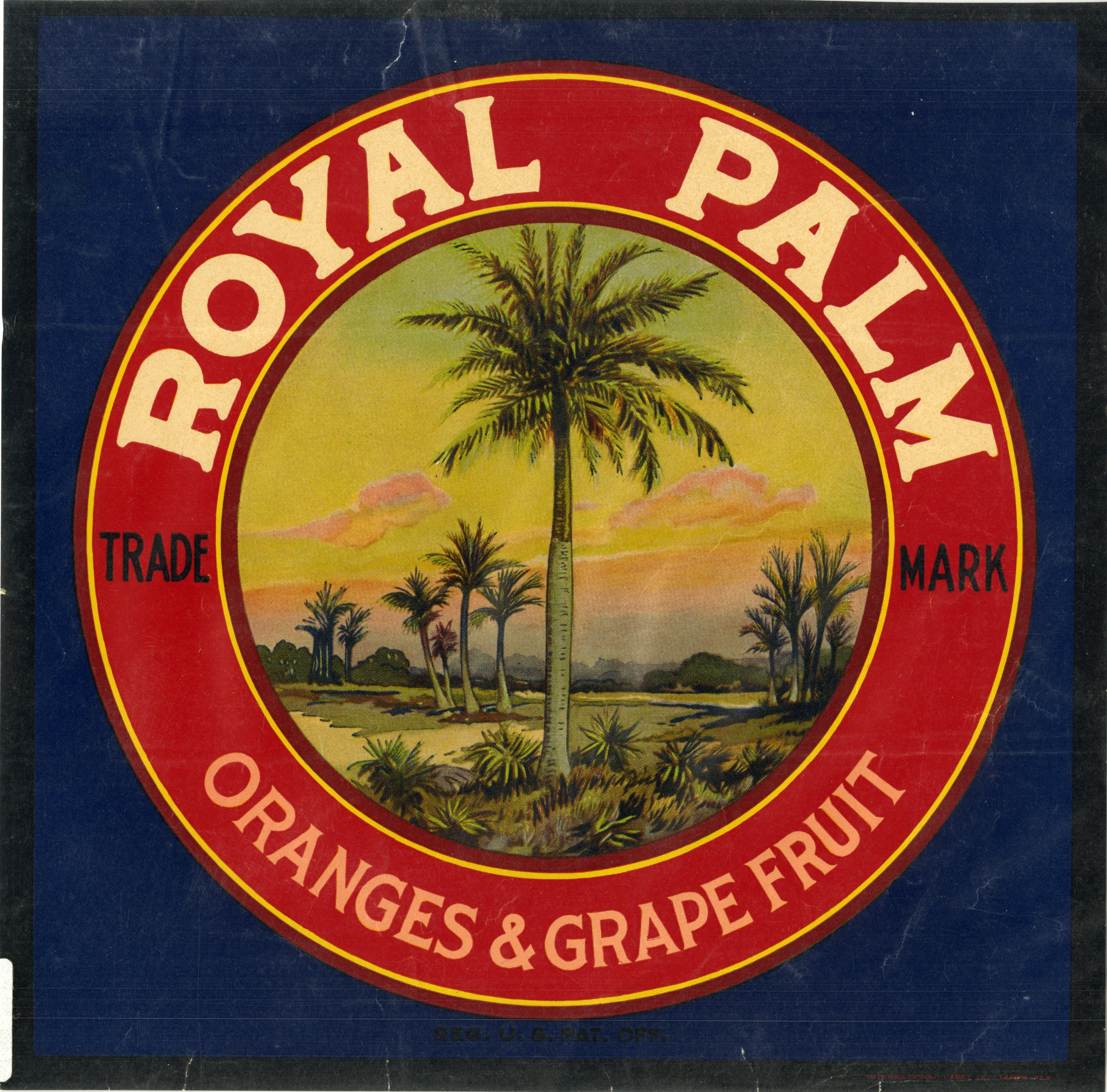 Royal Palm