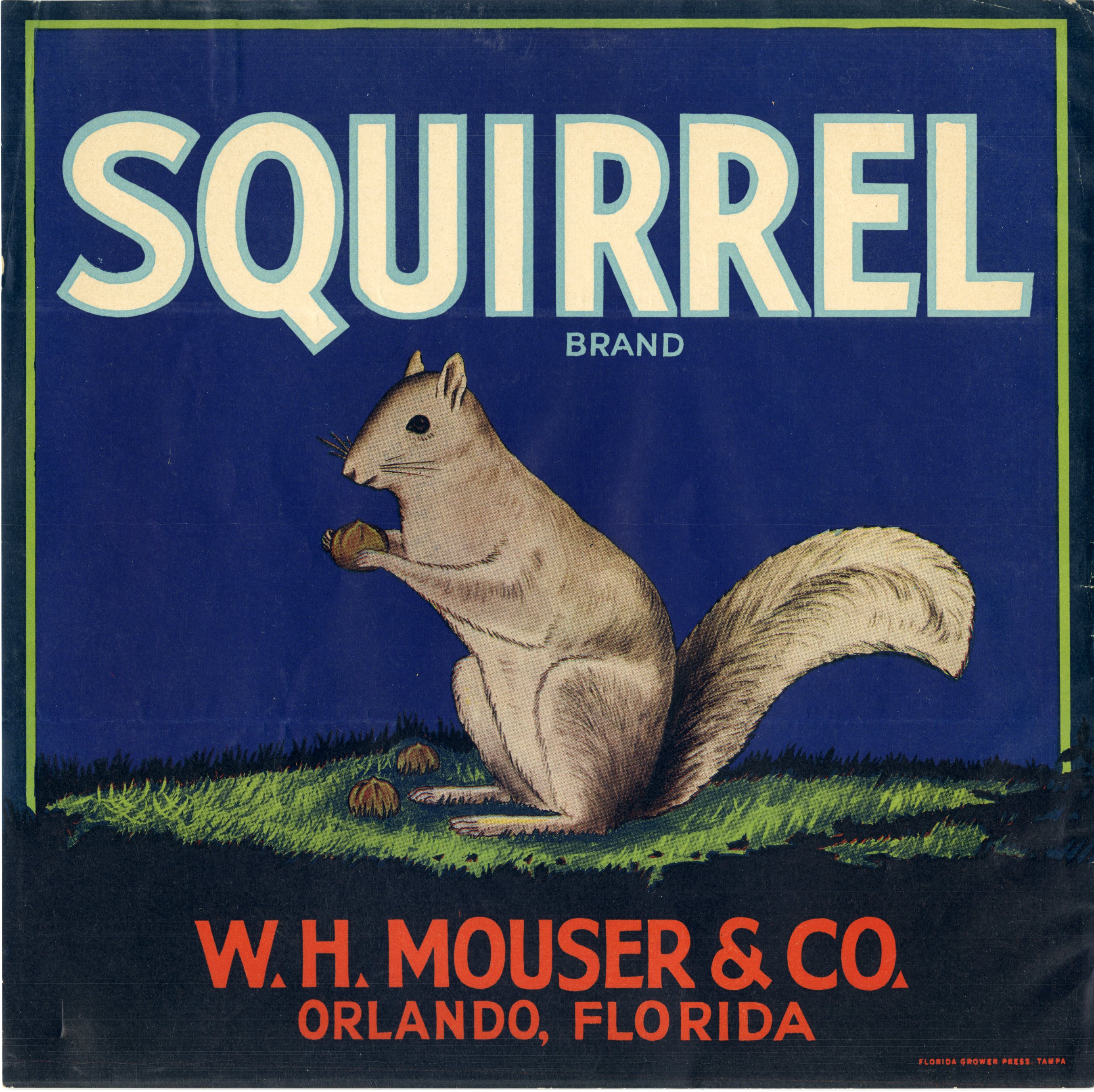 Squirrel Brand