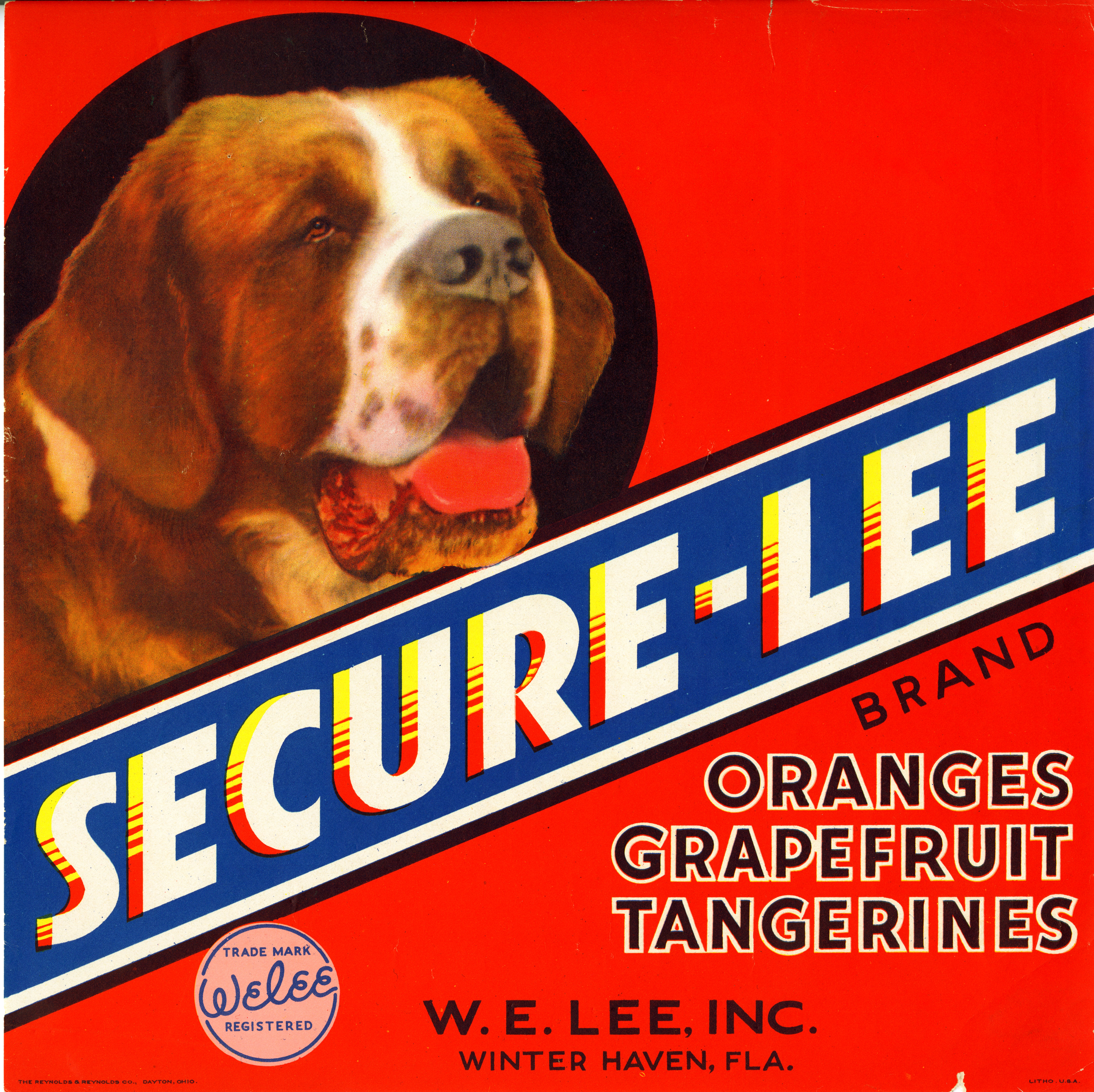 Secure-Lee Brand