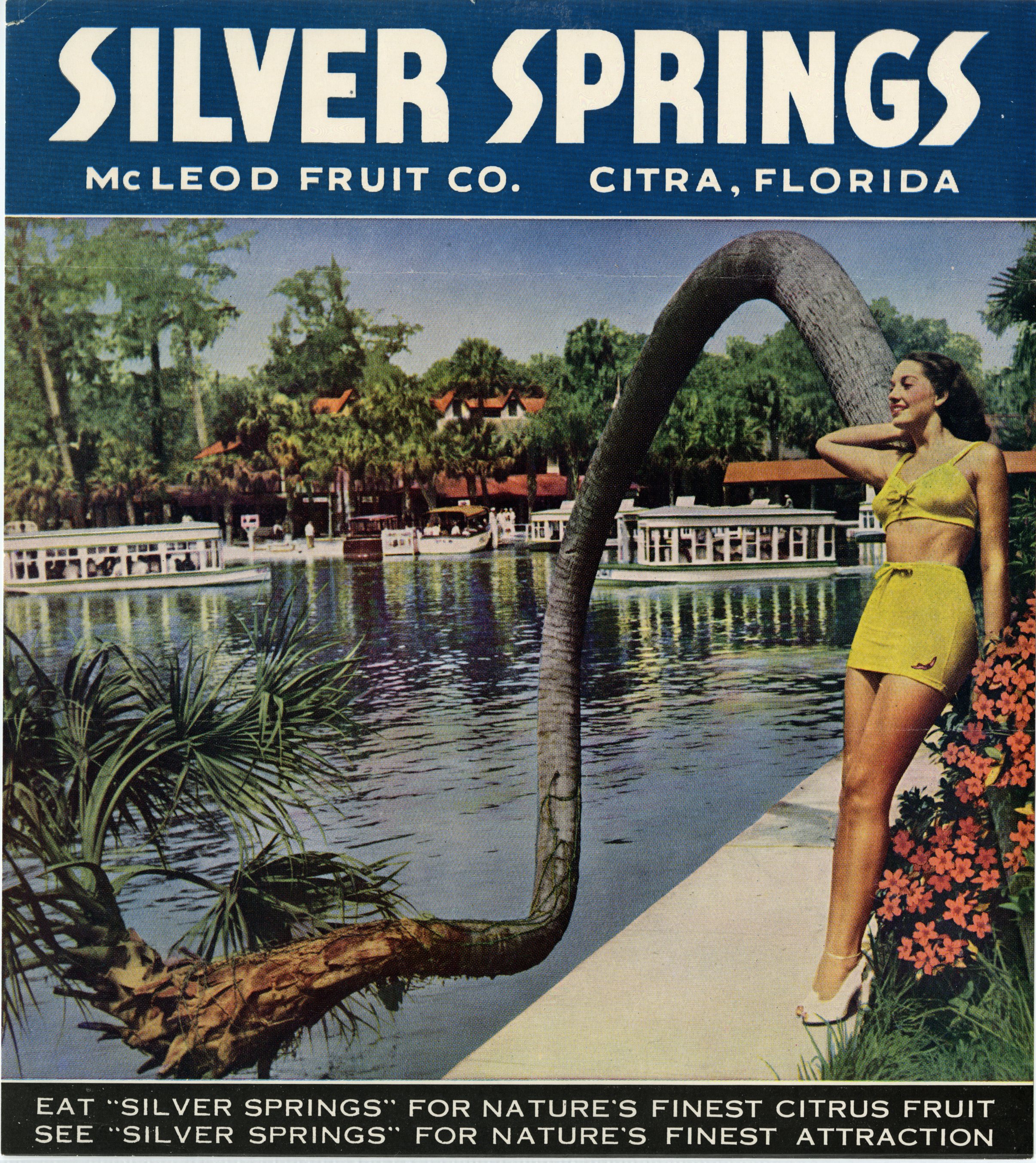 Silver Springs Brand