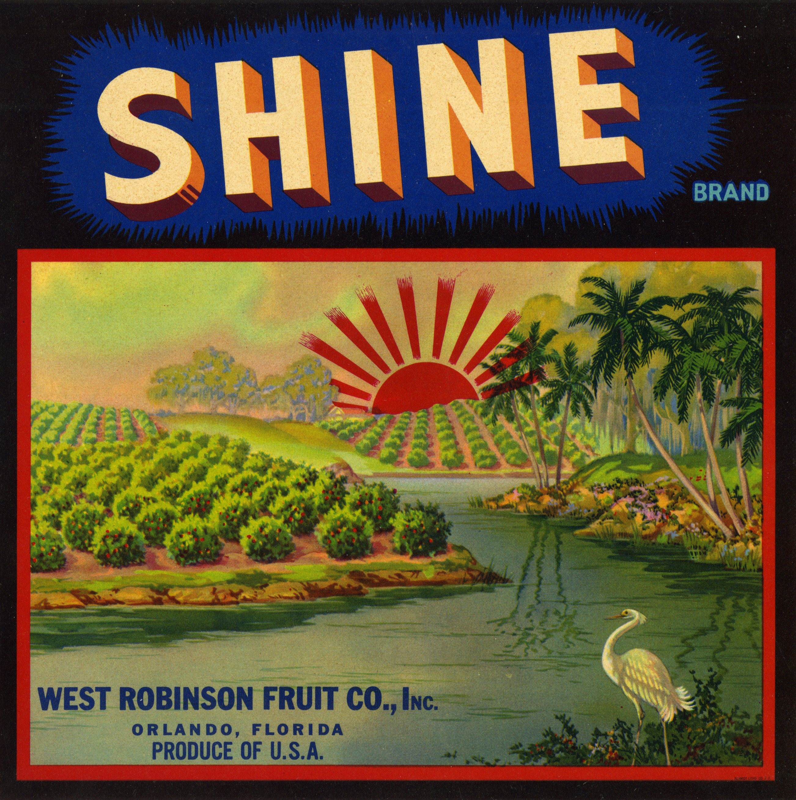 Shine Brand