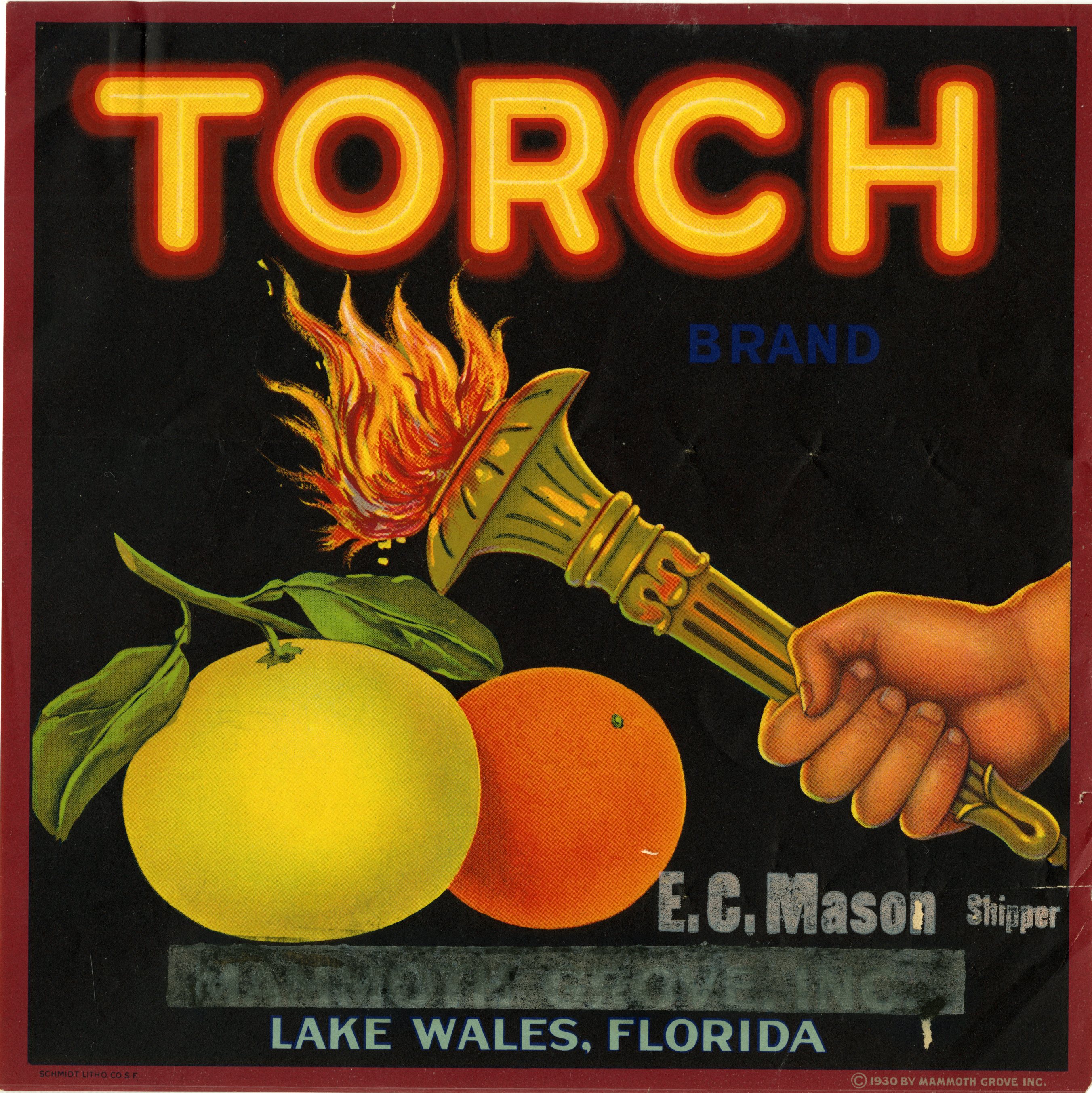 Torch Brand