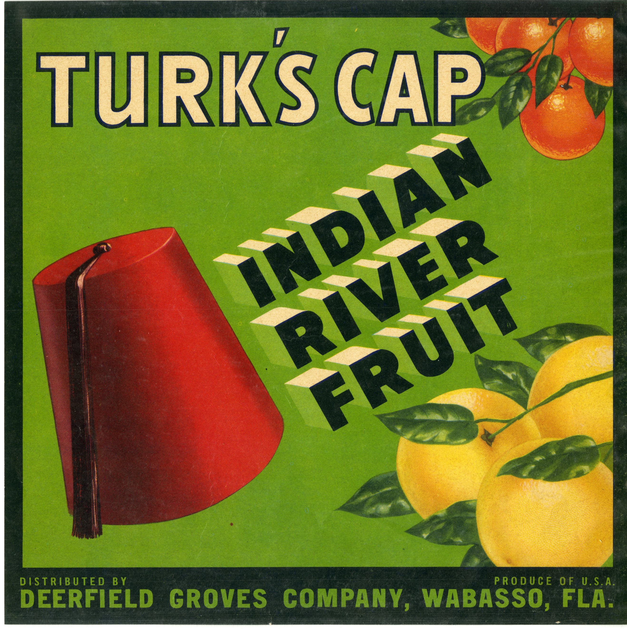 Turk's Cap