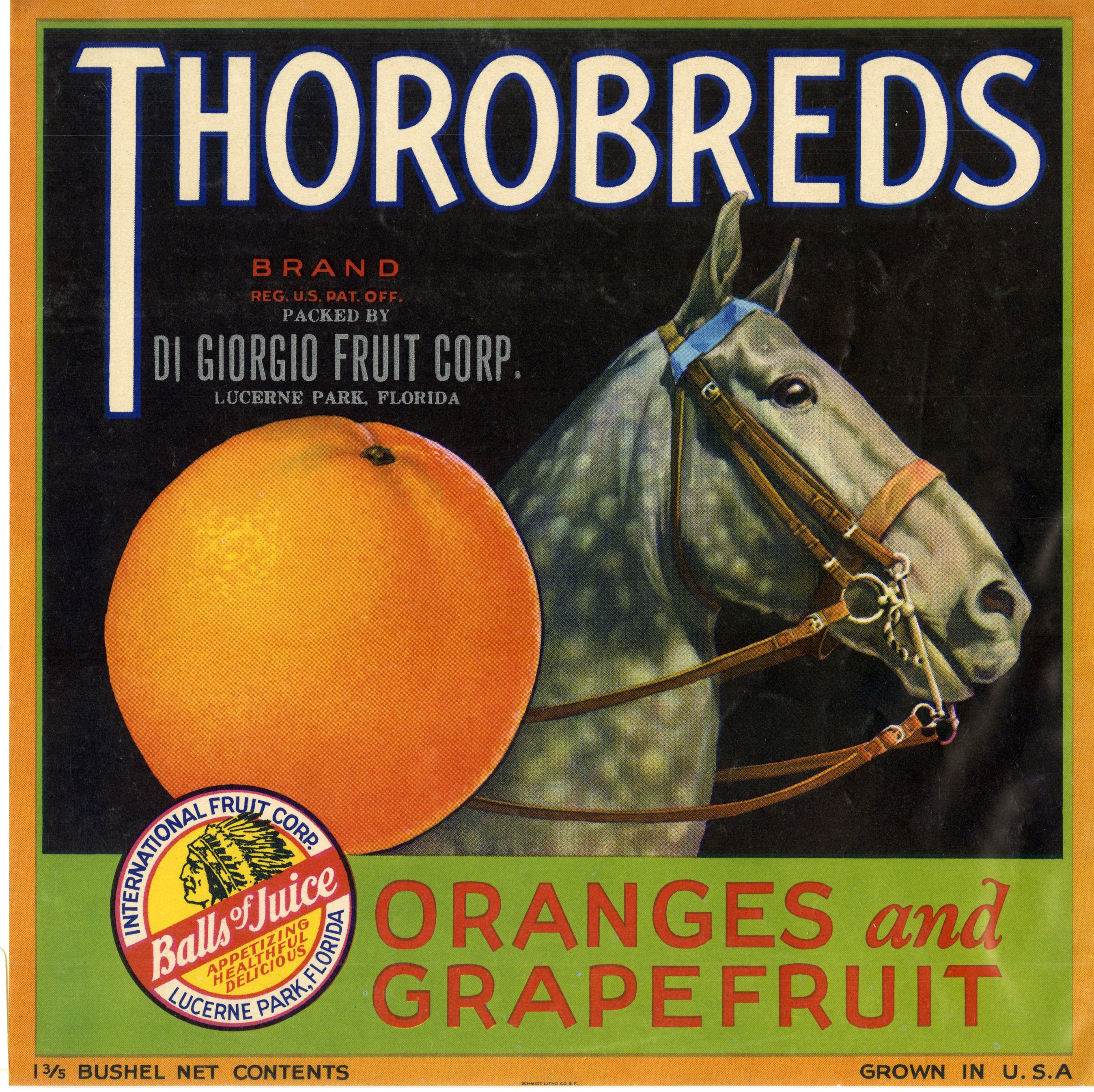 Thorobreds Brand