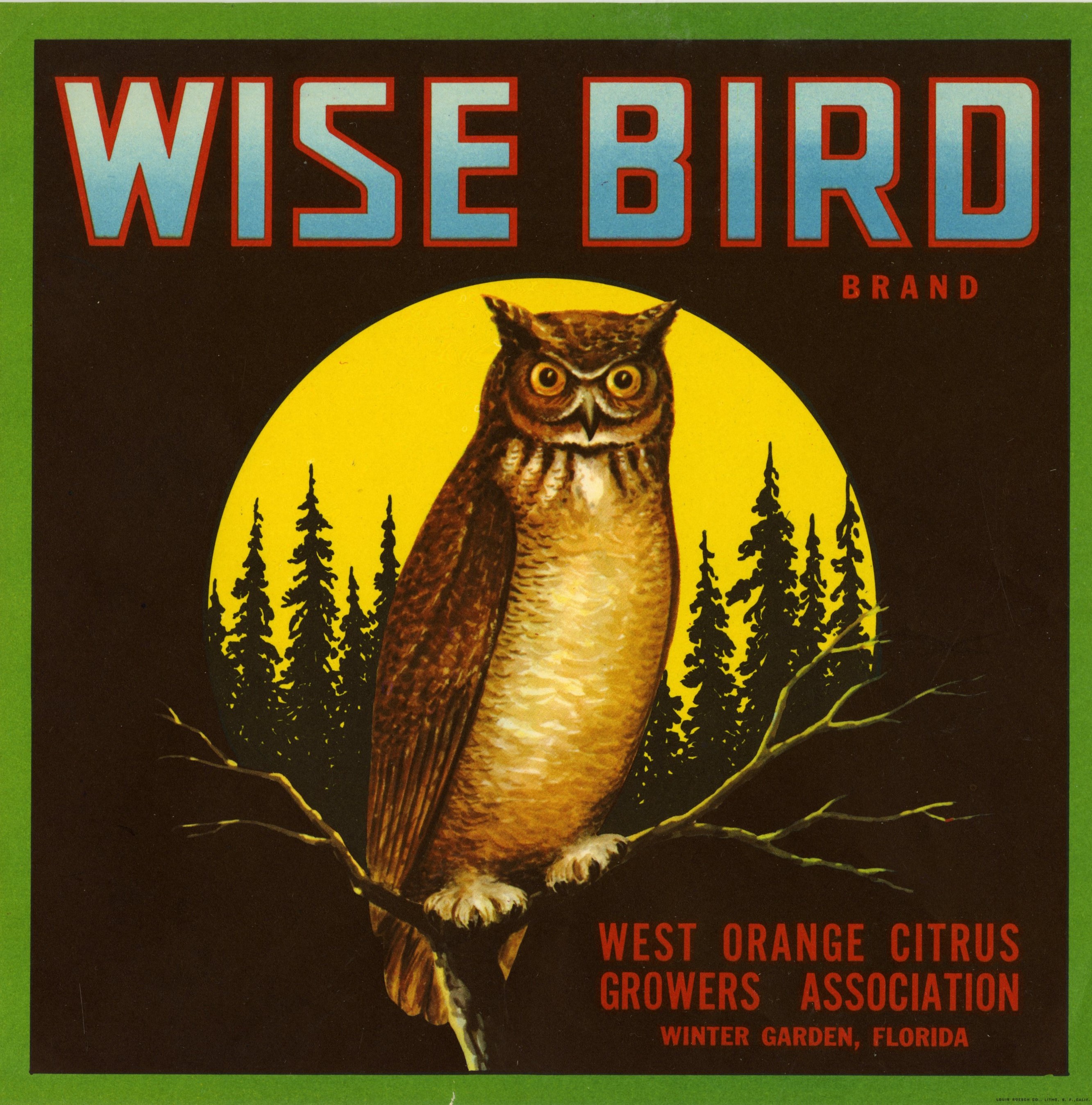 Wise Bird Brand