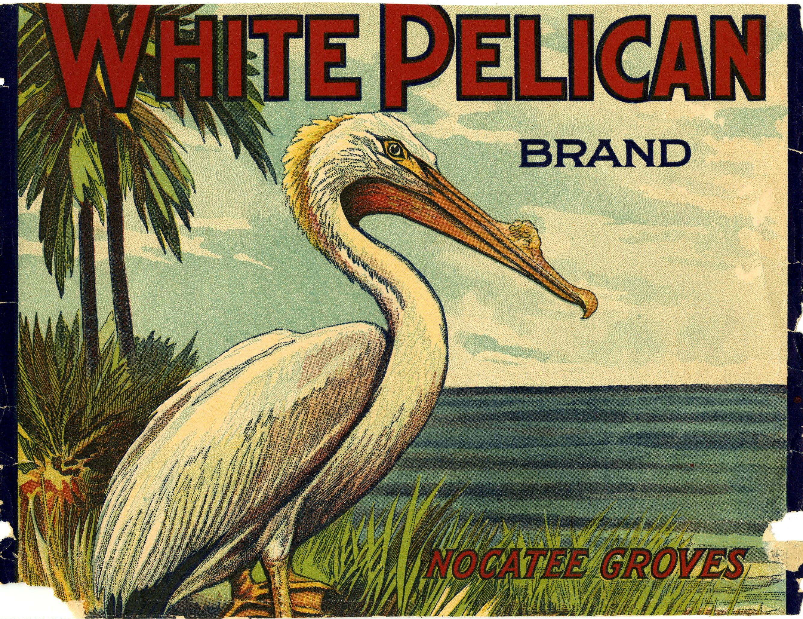 White Pelican Brand