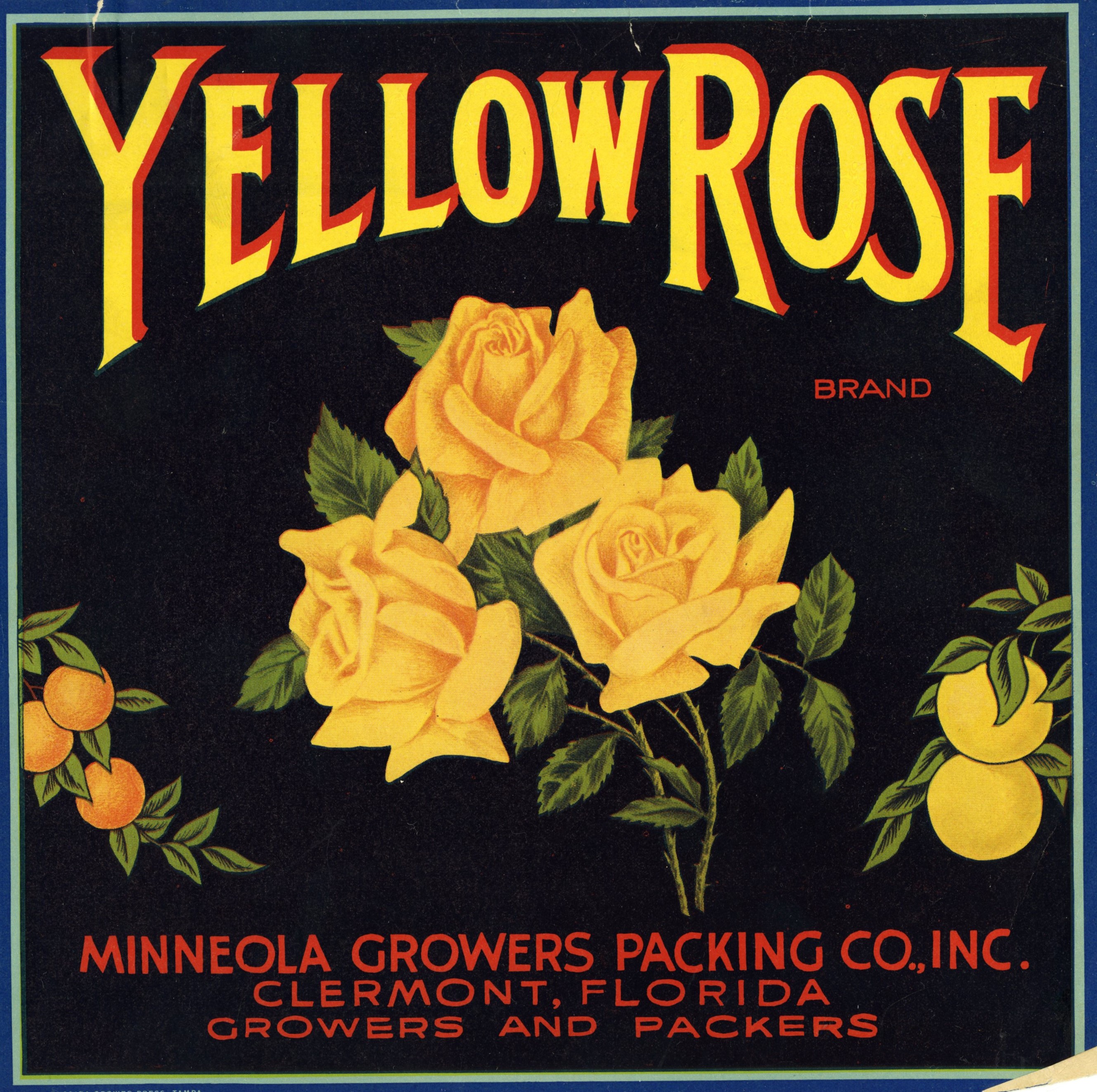 Yellow Rose Brand