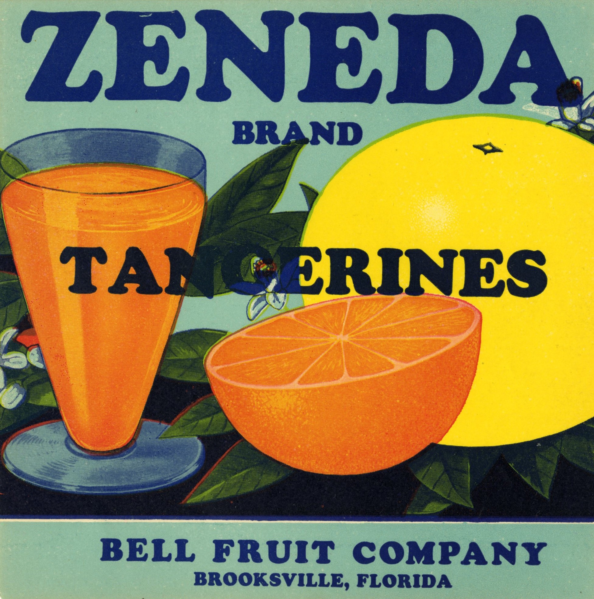 Zeneda Brand
