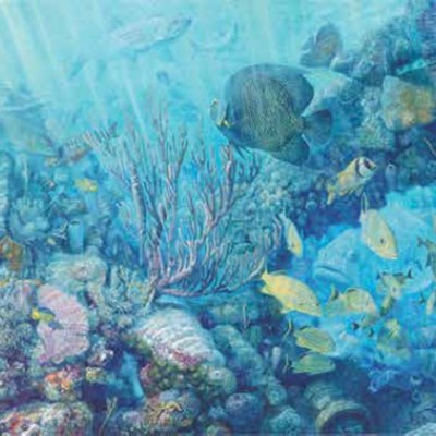 Florida's Coral Reefs